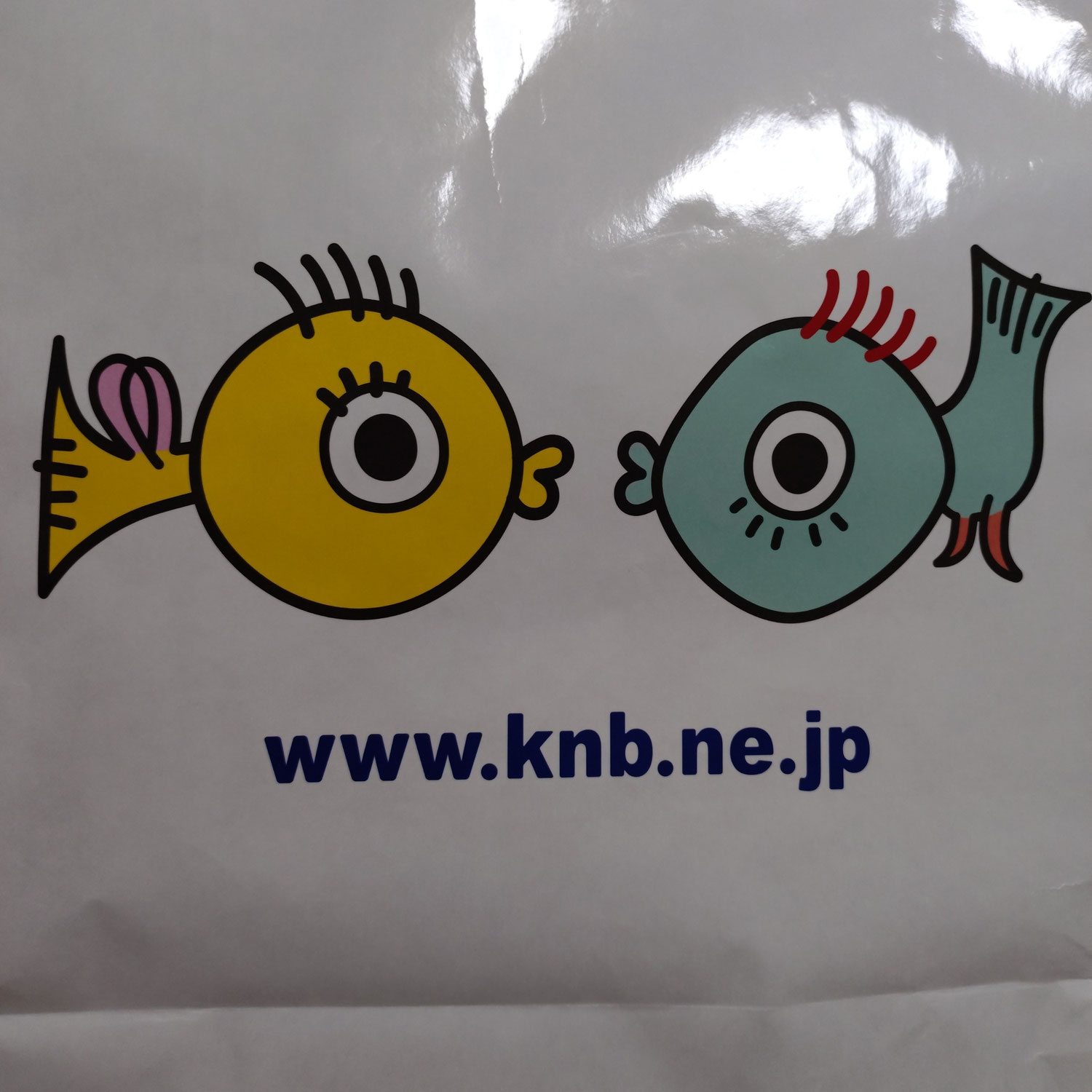 テレビ取材に…