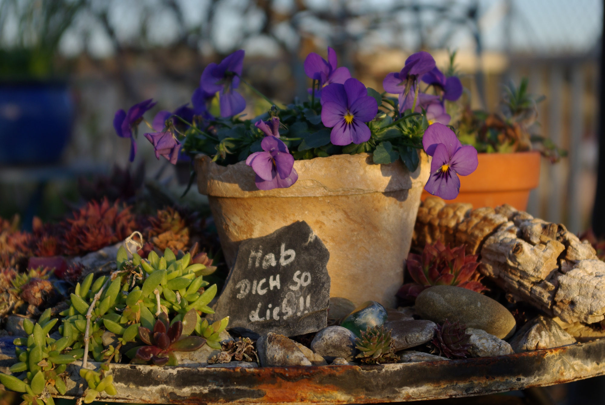 Magische Momente - kleine Garten(t)räume