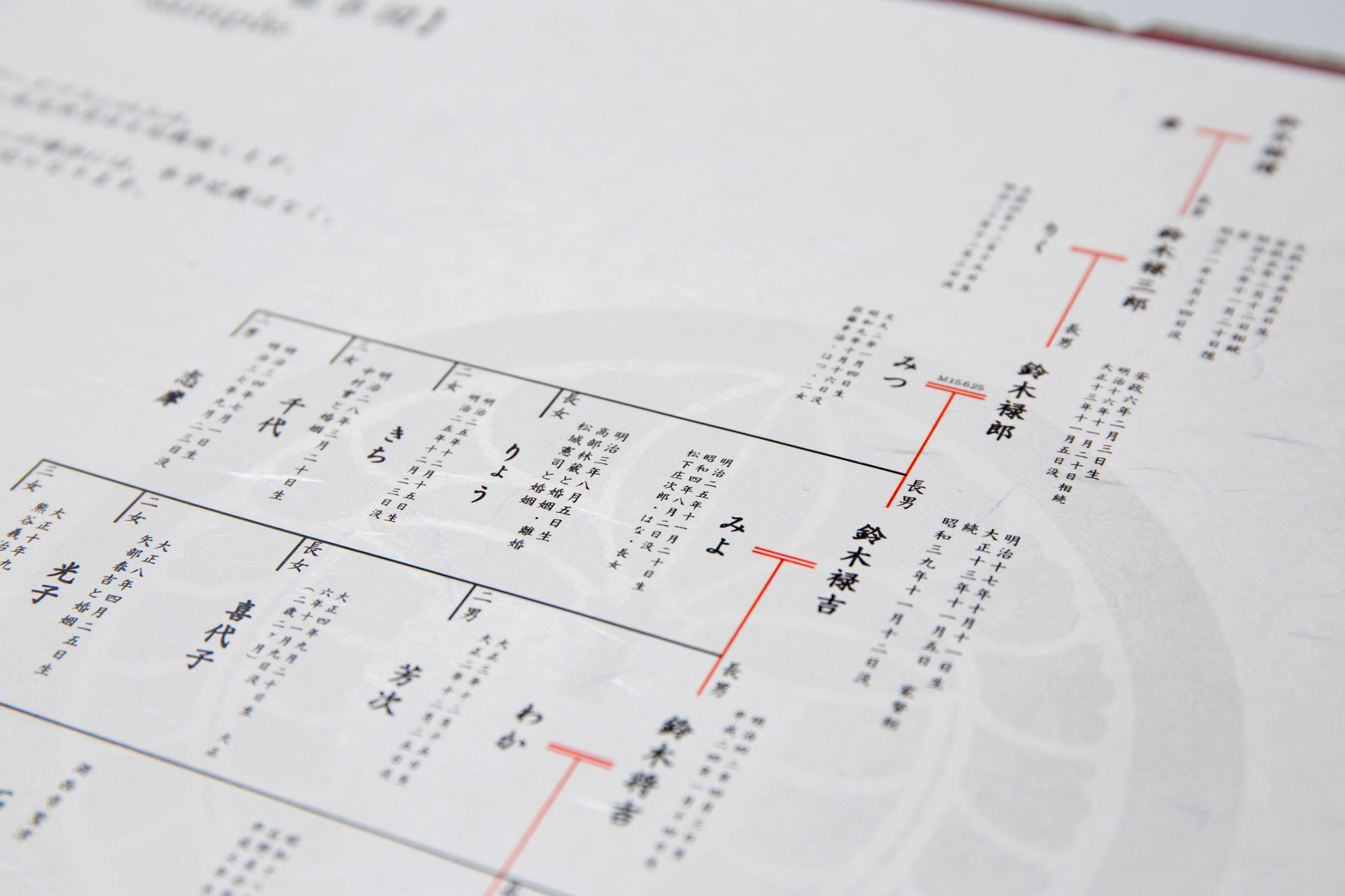 家系図を自分で作成したい方向けの戸籍調査方法