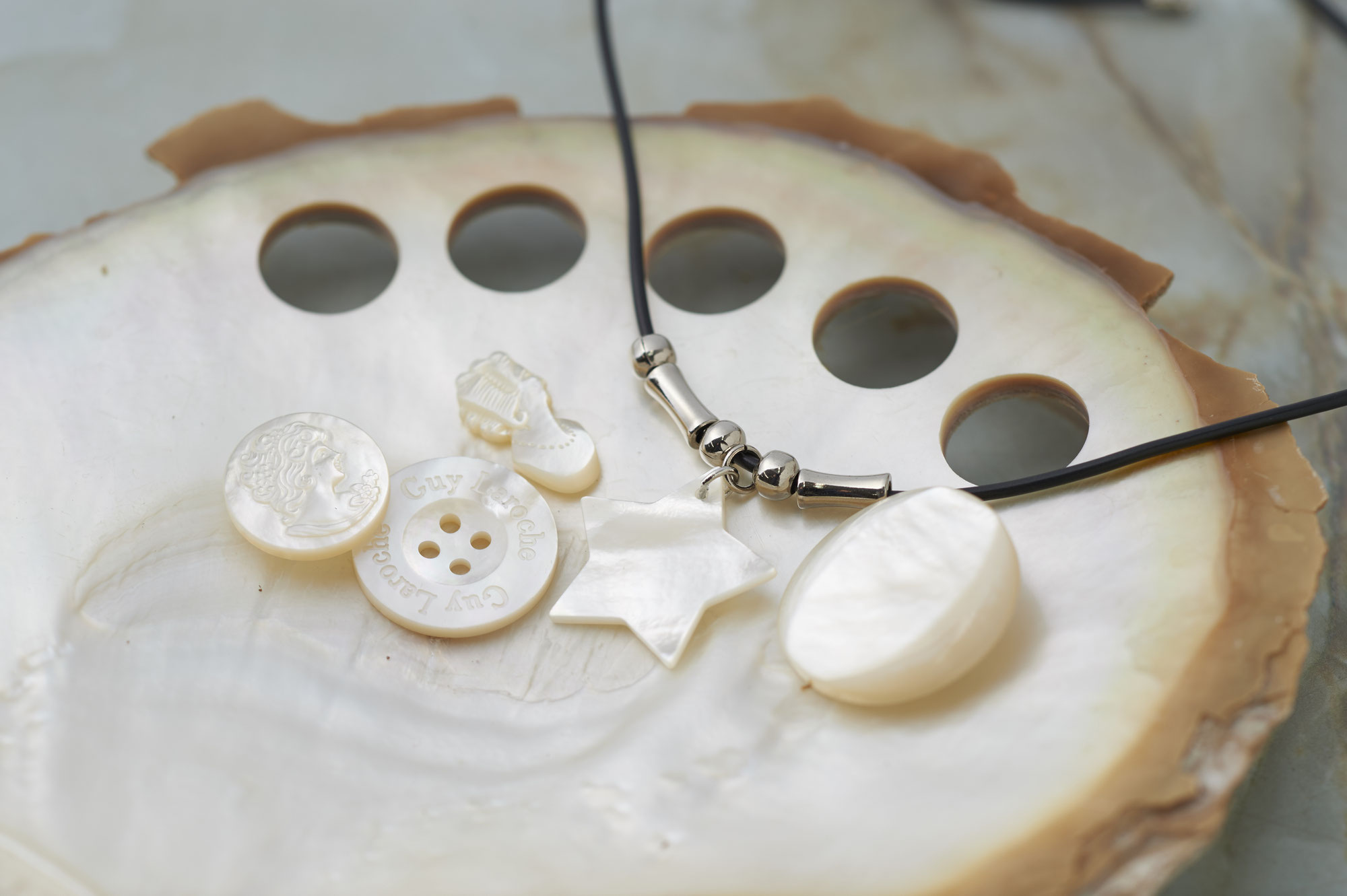HOME - Shell Buttons TOMOI