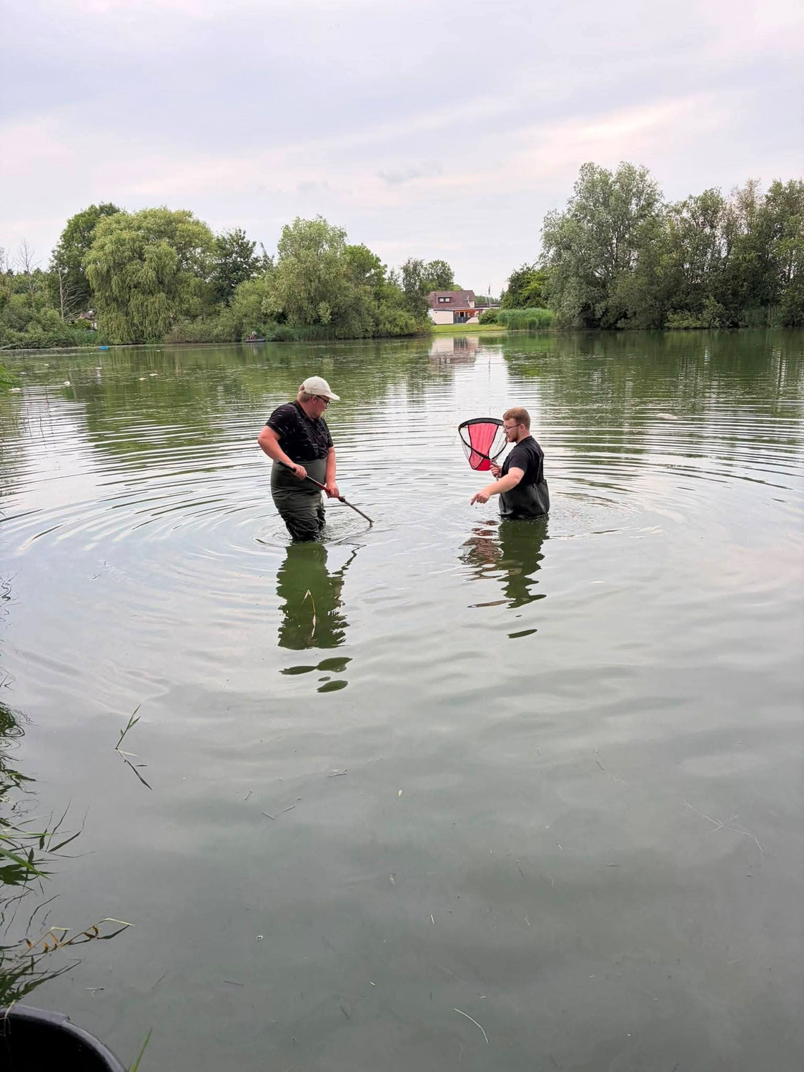 Notfalleinsatz am Seenpark II: Gemeinsam gegen das Fischsterben