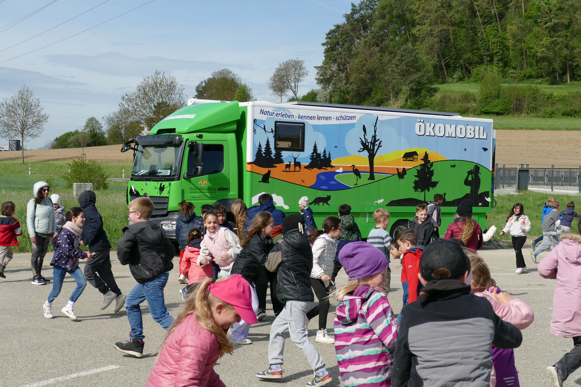 Vier Ökomobile zu Besuch – Wald hautnah erleben