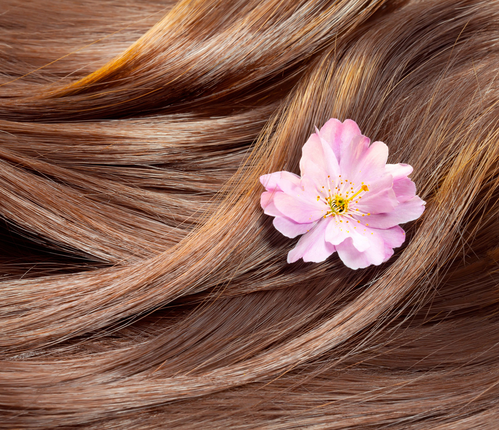 Start Friseur Hairart Oldenburg