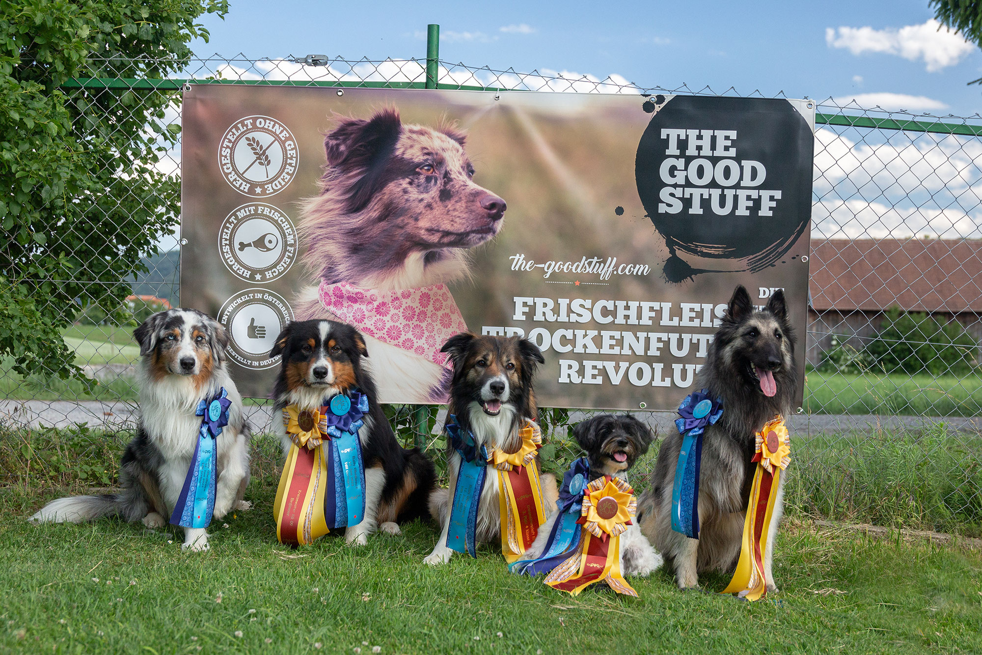 Kreismeisterschaft Rally Obedience 2022