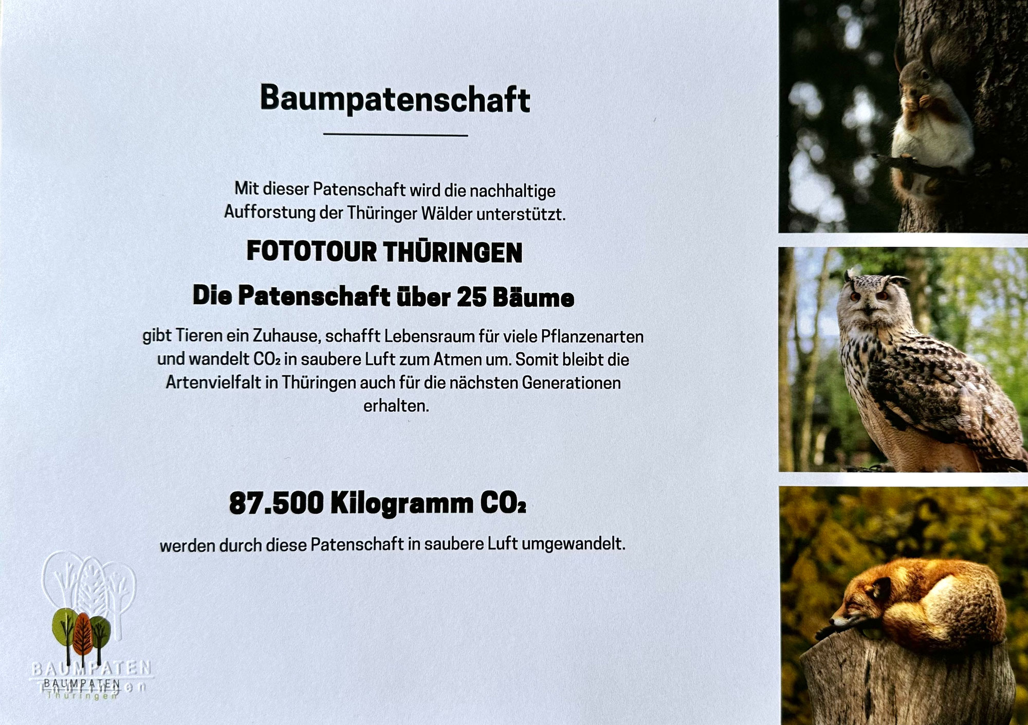 Bäume für den Thüringer Wald mit Fototour Thüringen