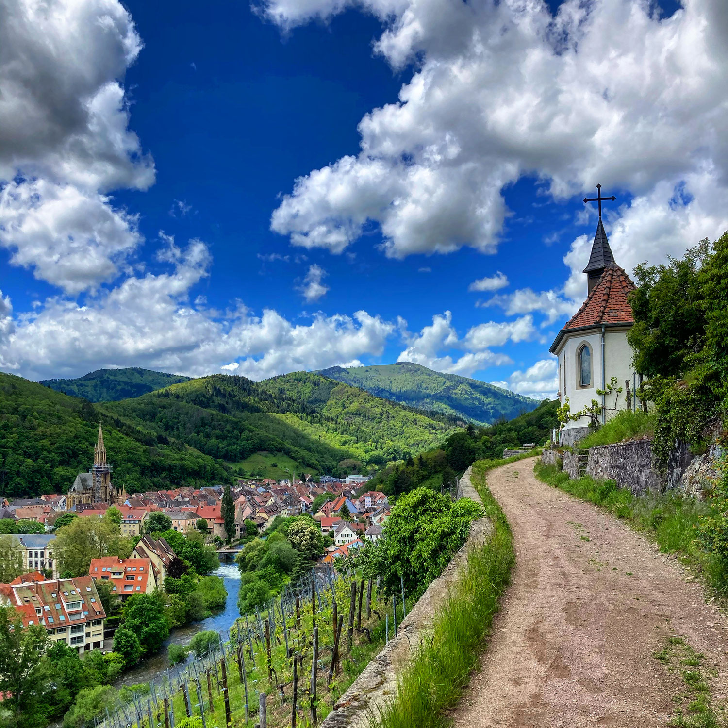 L'histoire de la ROUTE DES VINS D'ALSACE