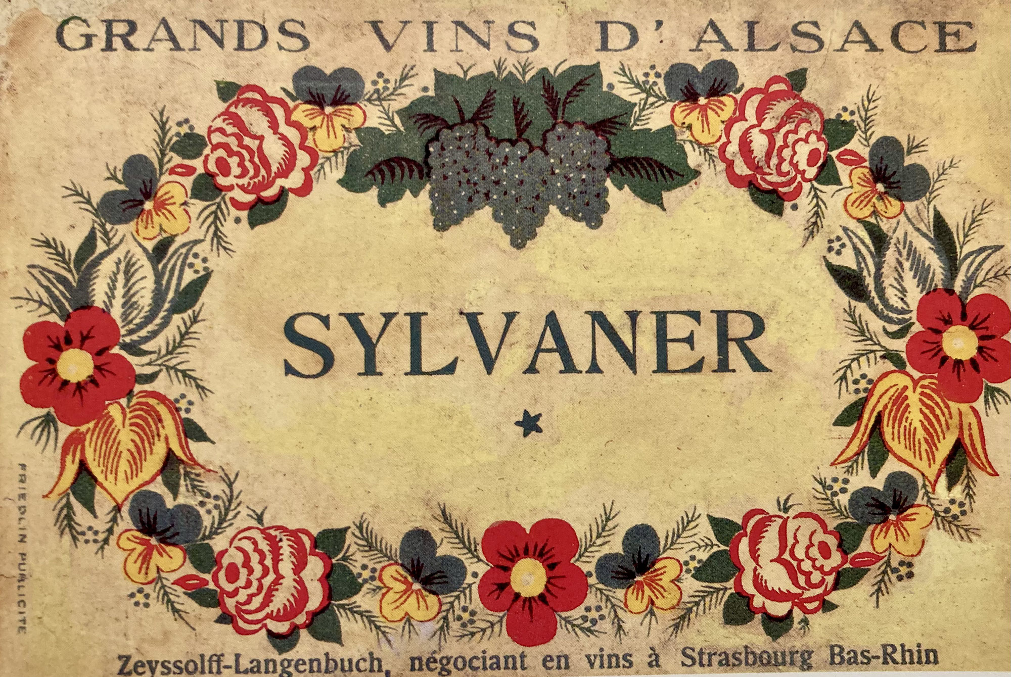 Le génie du SYLVANER alsacien