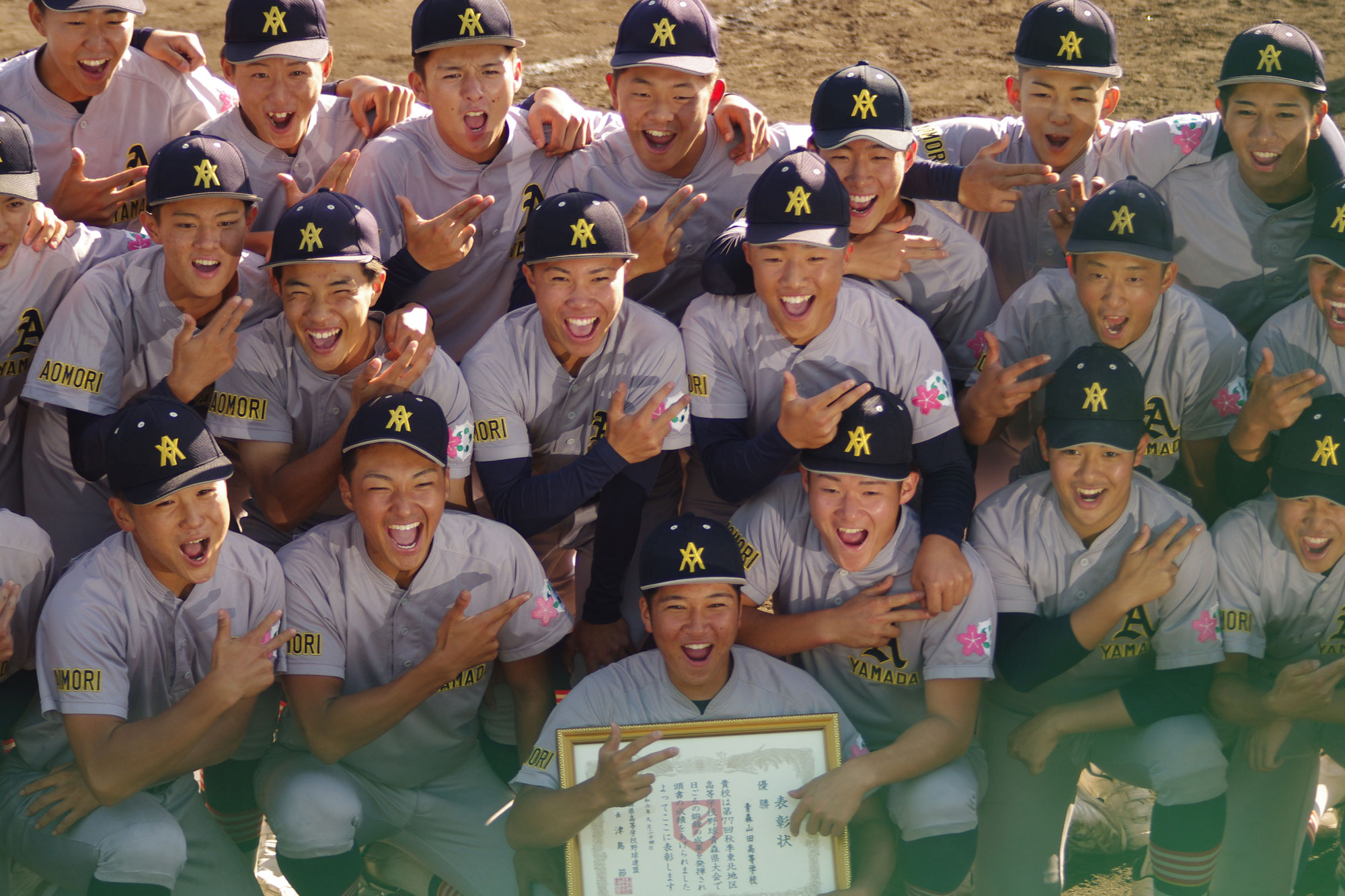 令和６年度秋季青森県高等学校野球大会