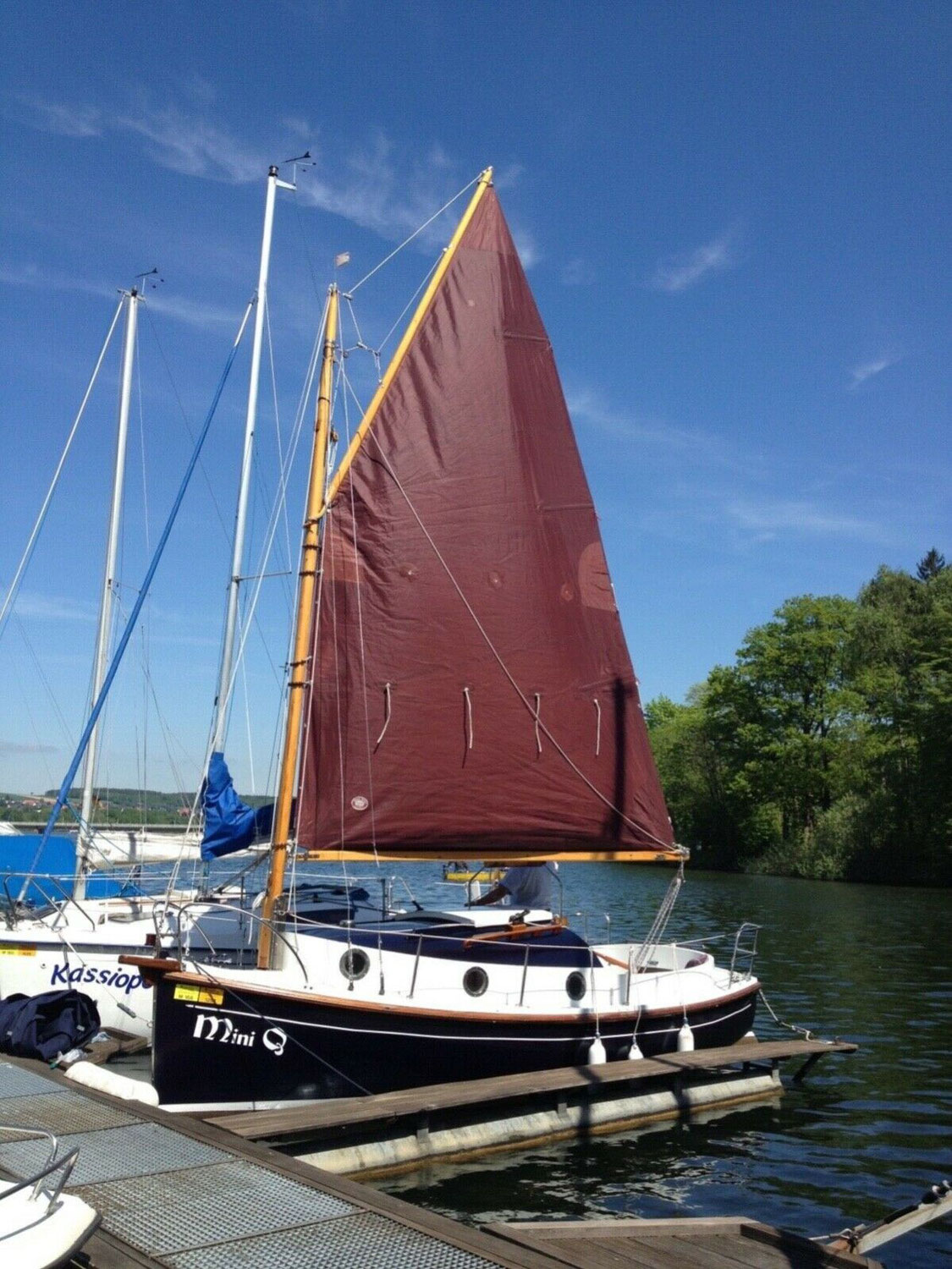 Catboot Seezunge A zu verkaufen