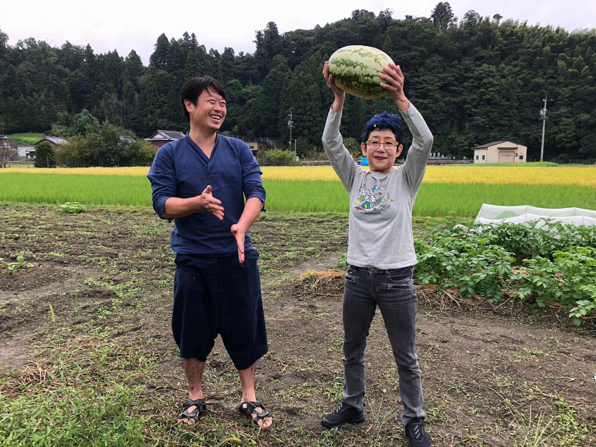 本日は忍者の日。そして民泊開業２周年記念日。