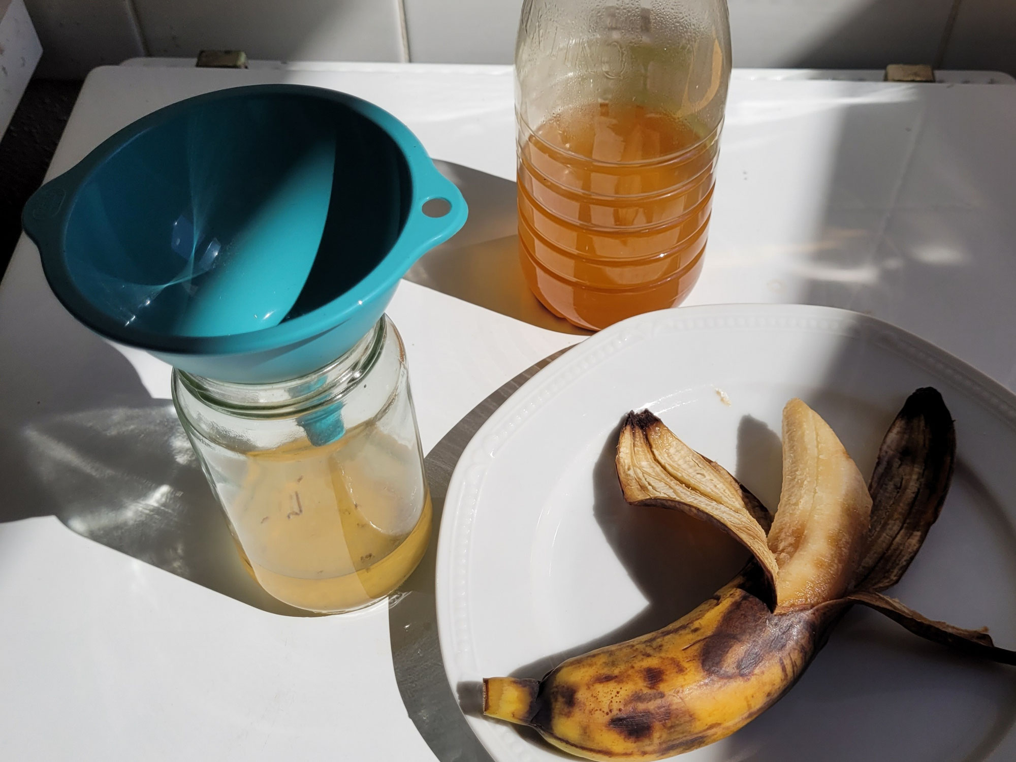 Umweltfreundliche  Fruchtfliegenfallen mit Hausmitteln aus der Küche