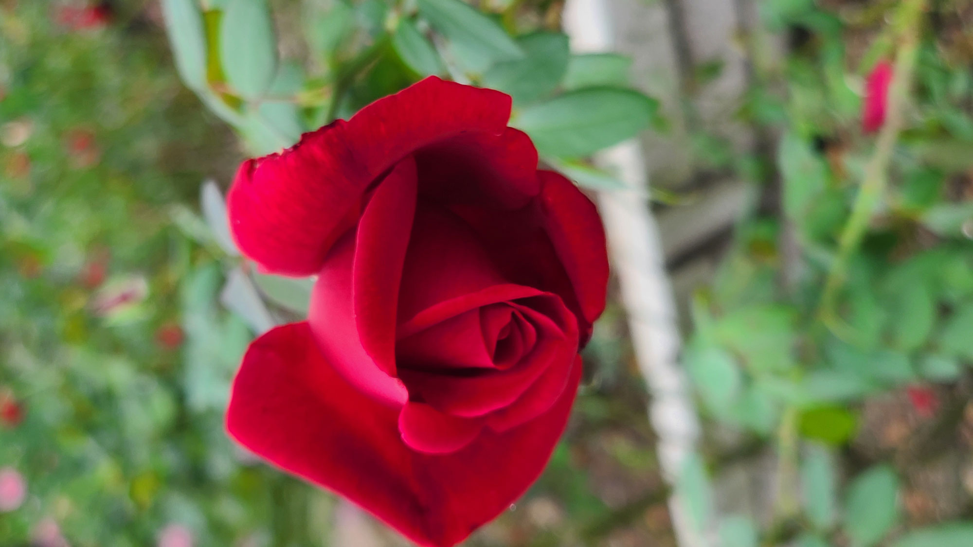 季節の変わり目に寄り添う身体づくりを