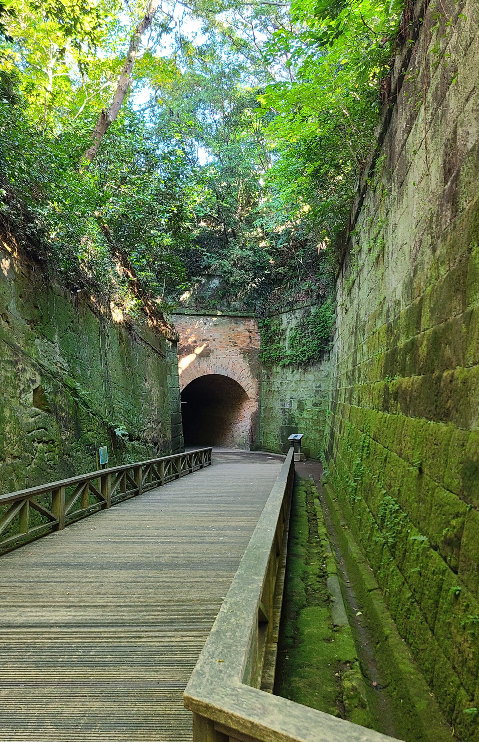 人工と自然の調和に見る、心と身体のバランスの本質