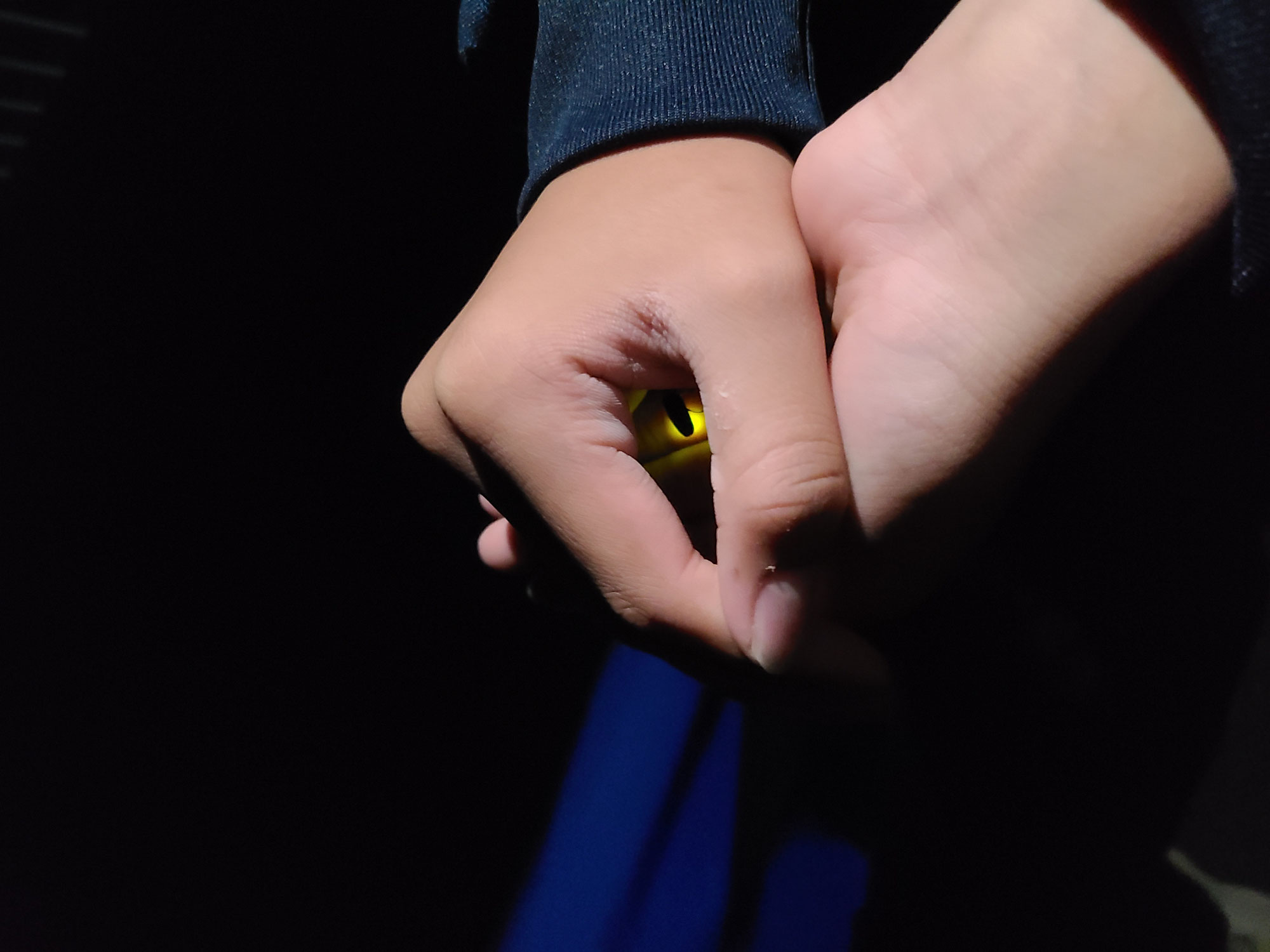 家族で夜の散歩へ。蛍の光に癒やされながら考える「夜のめぐり」のお話