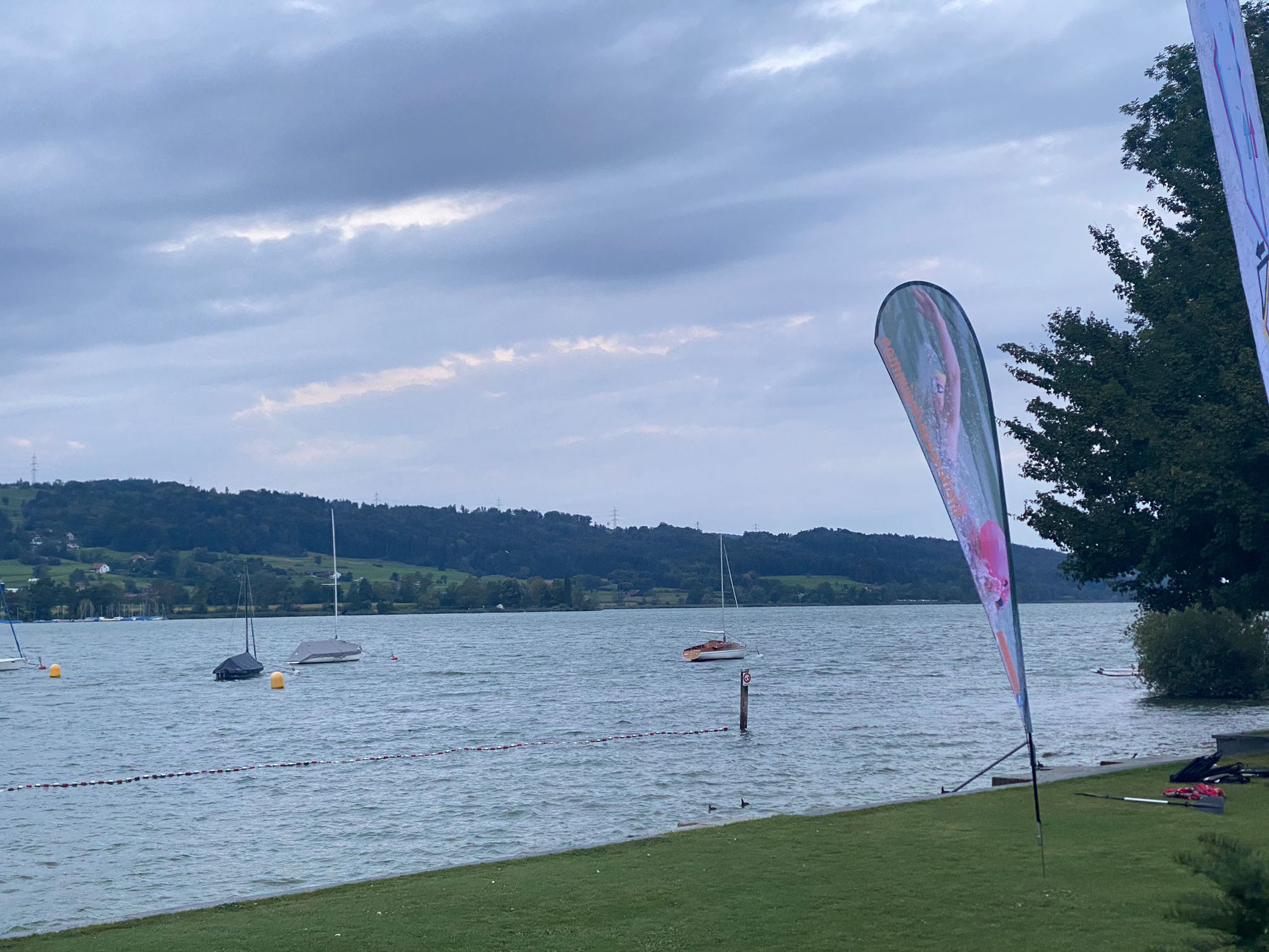 Greifenseeschwimmen
