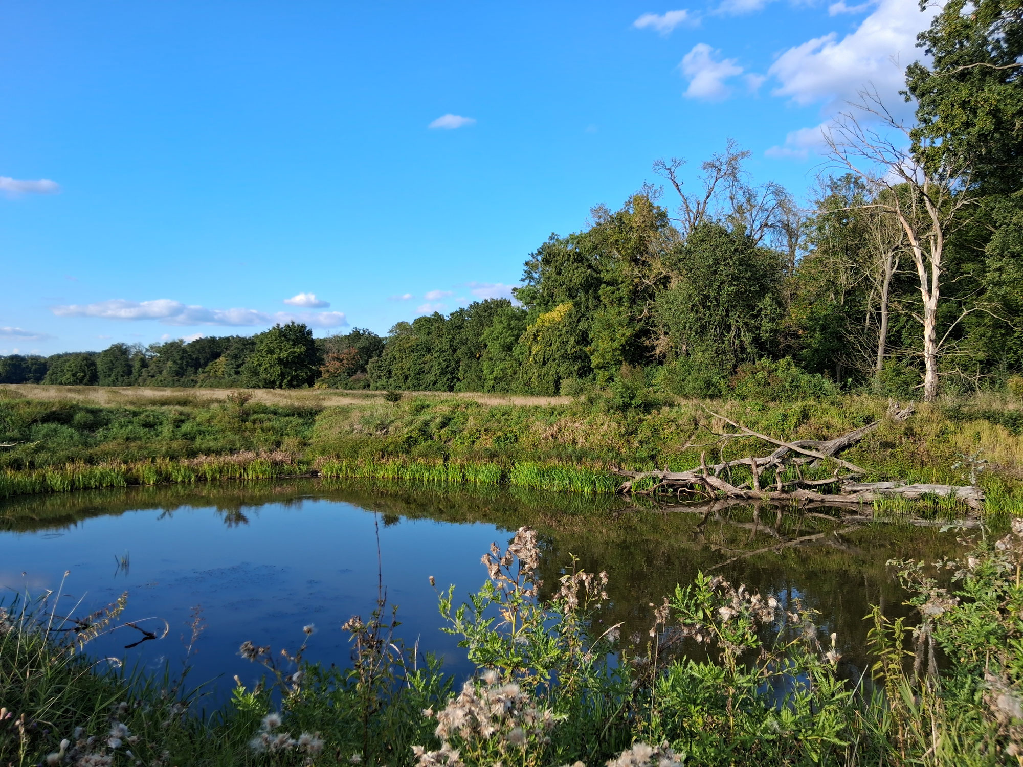 Die Elbe flussaufwärts