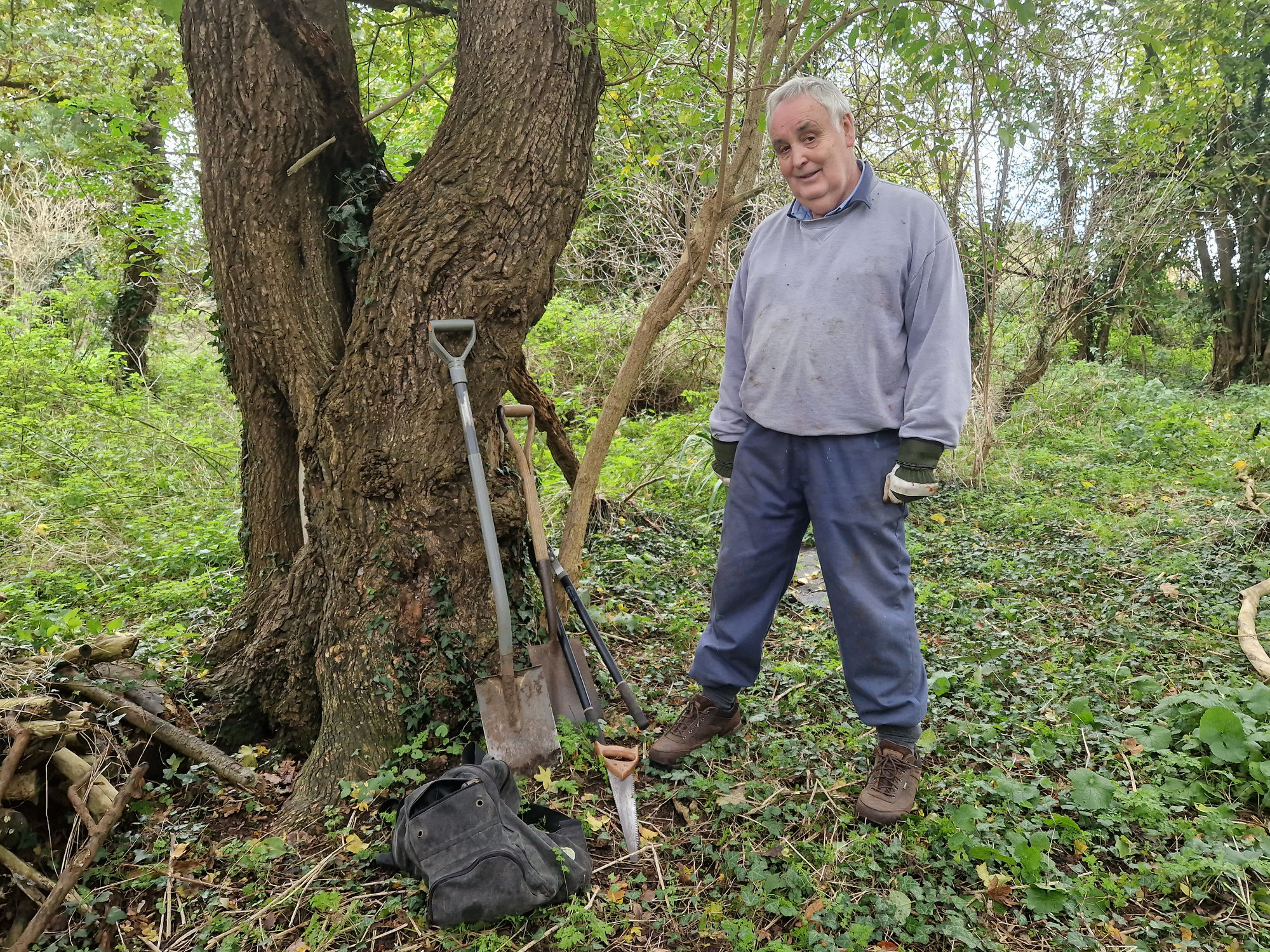 Scything at Hutchcomb's Copse - call for volunteers