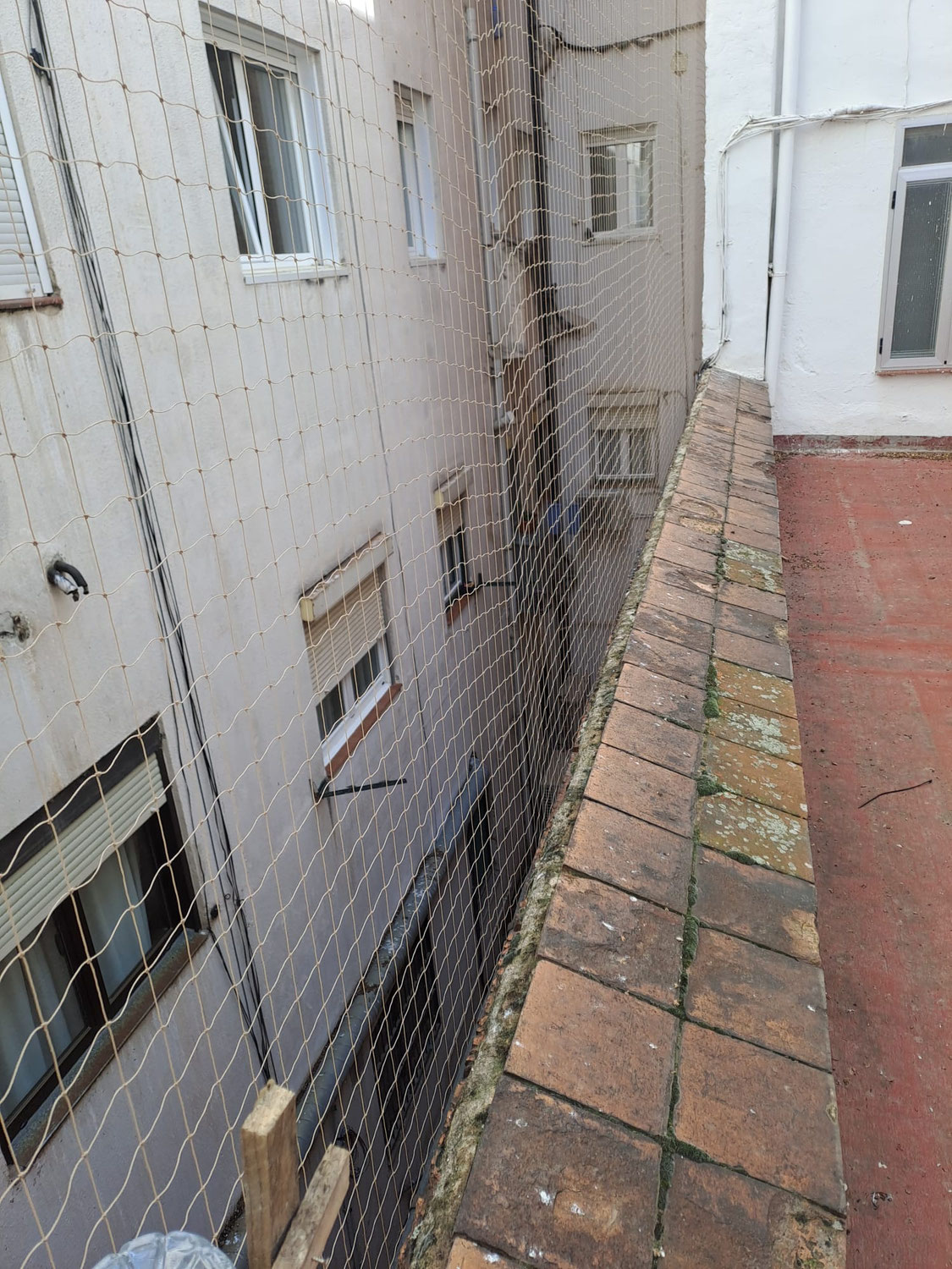 Red en edificio de Segovia, una trampa para la avifauna