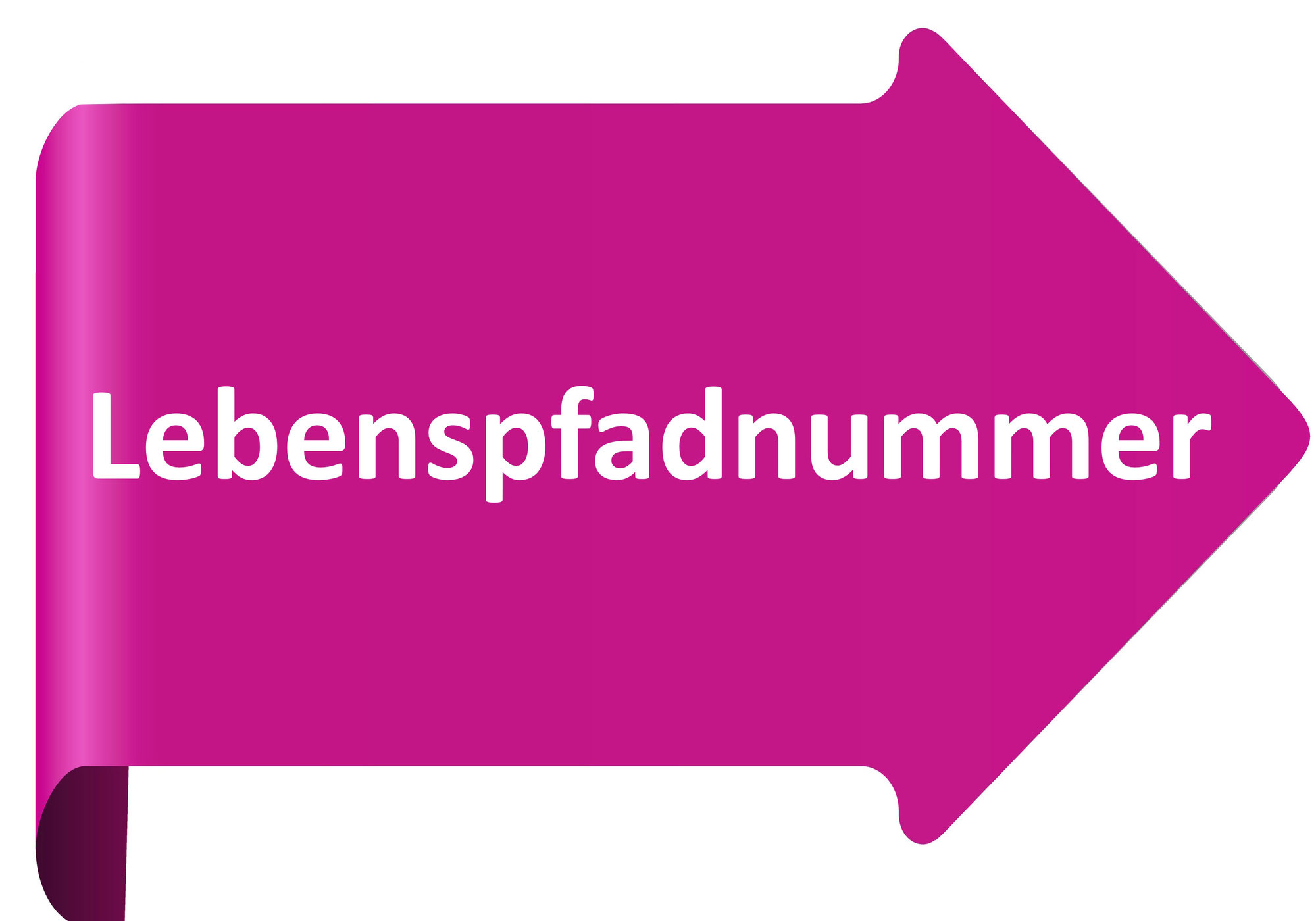 Berechnung & Bedeutung der Lebenspfadnummer