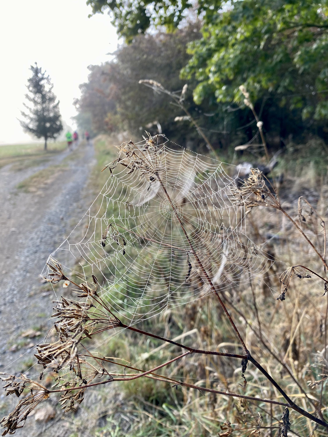 Der Herbst steht vor der Tür, die heißen Tage bleiben!