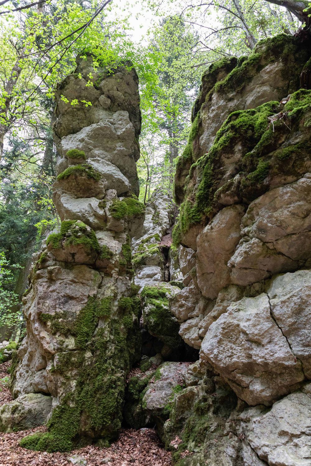 Mai 23 - Premiumwandern in Albstadt: der Felsenmeersteig