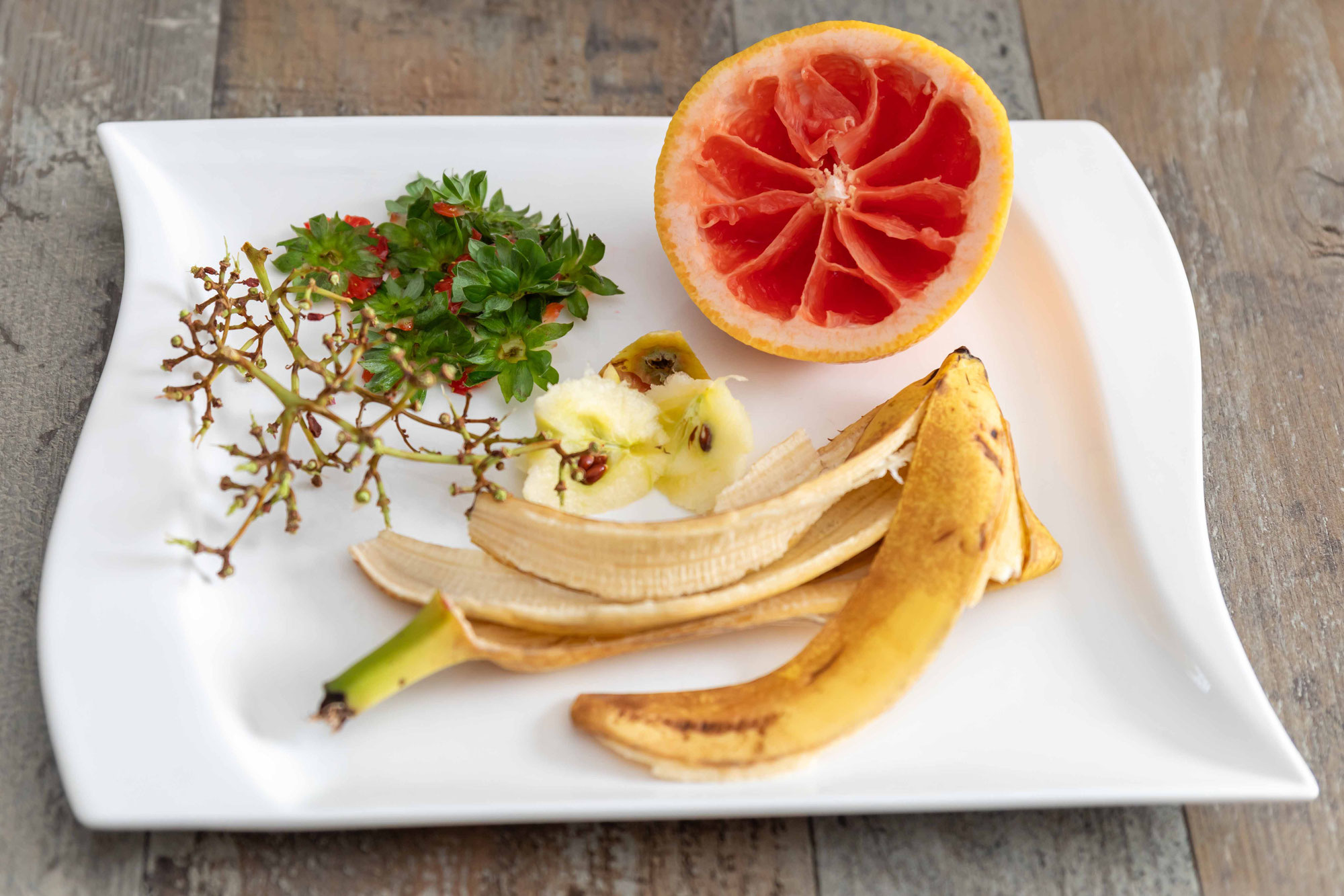 April 23 - Spaß mit Obst