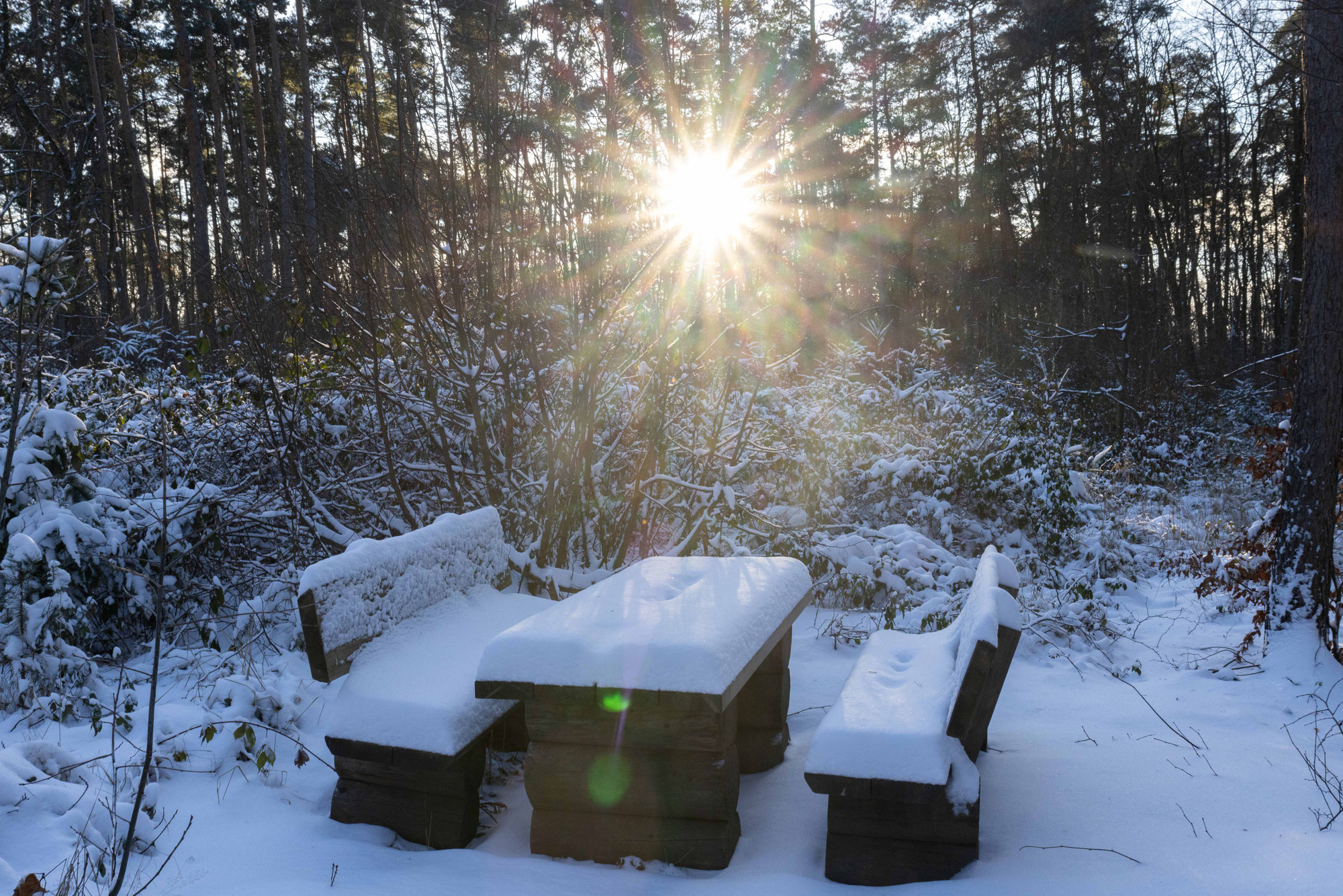 Januar 26 - Schnee
