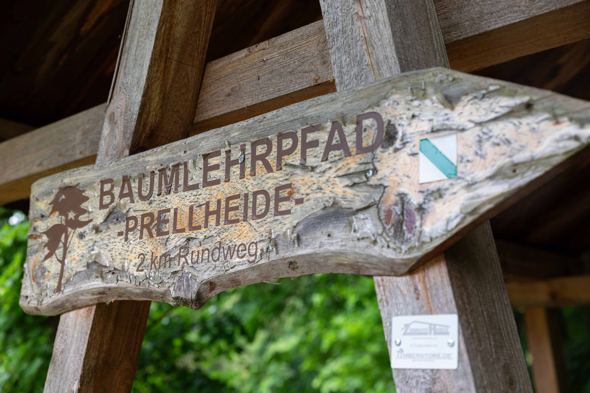 Mai 25 - Der Baumlehrpfad in der Dübener Heide