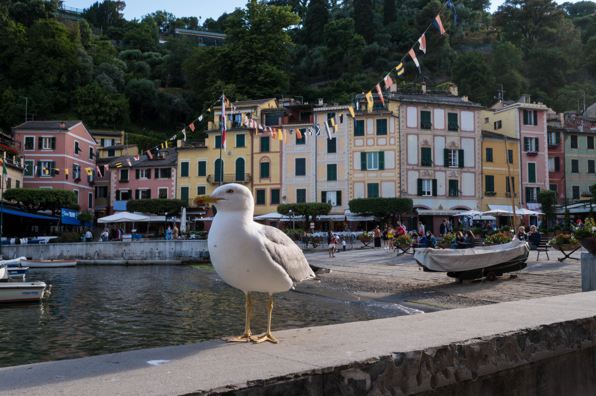 Elba 2021