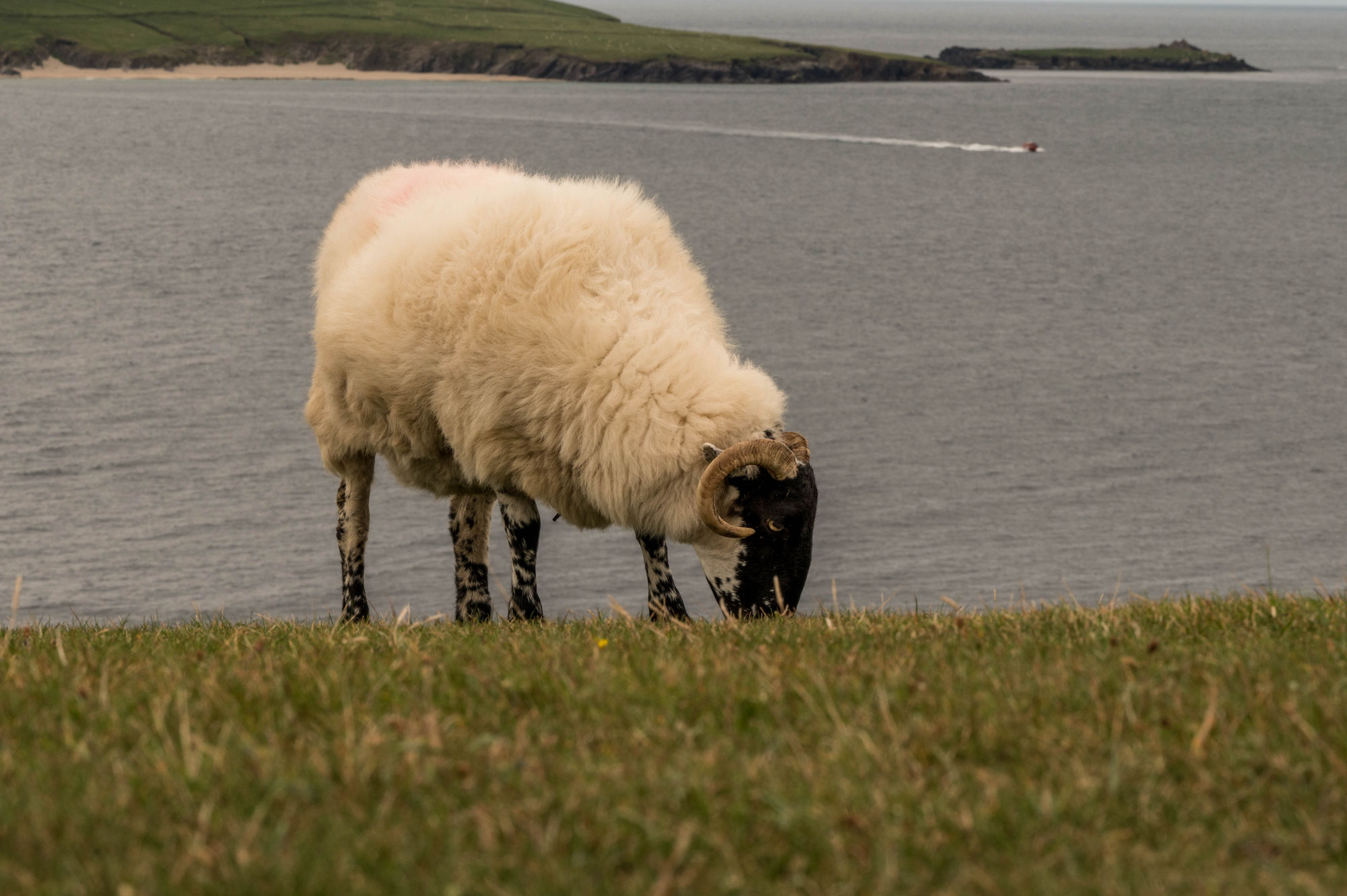 Irland 2022