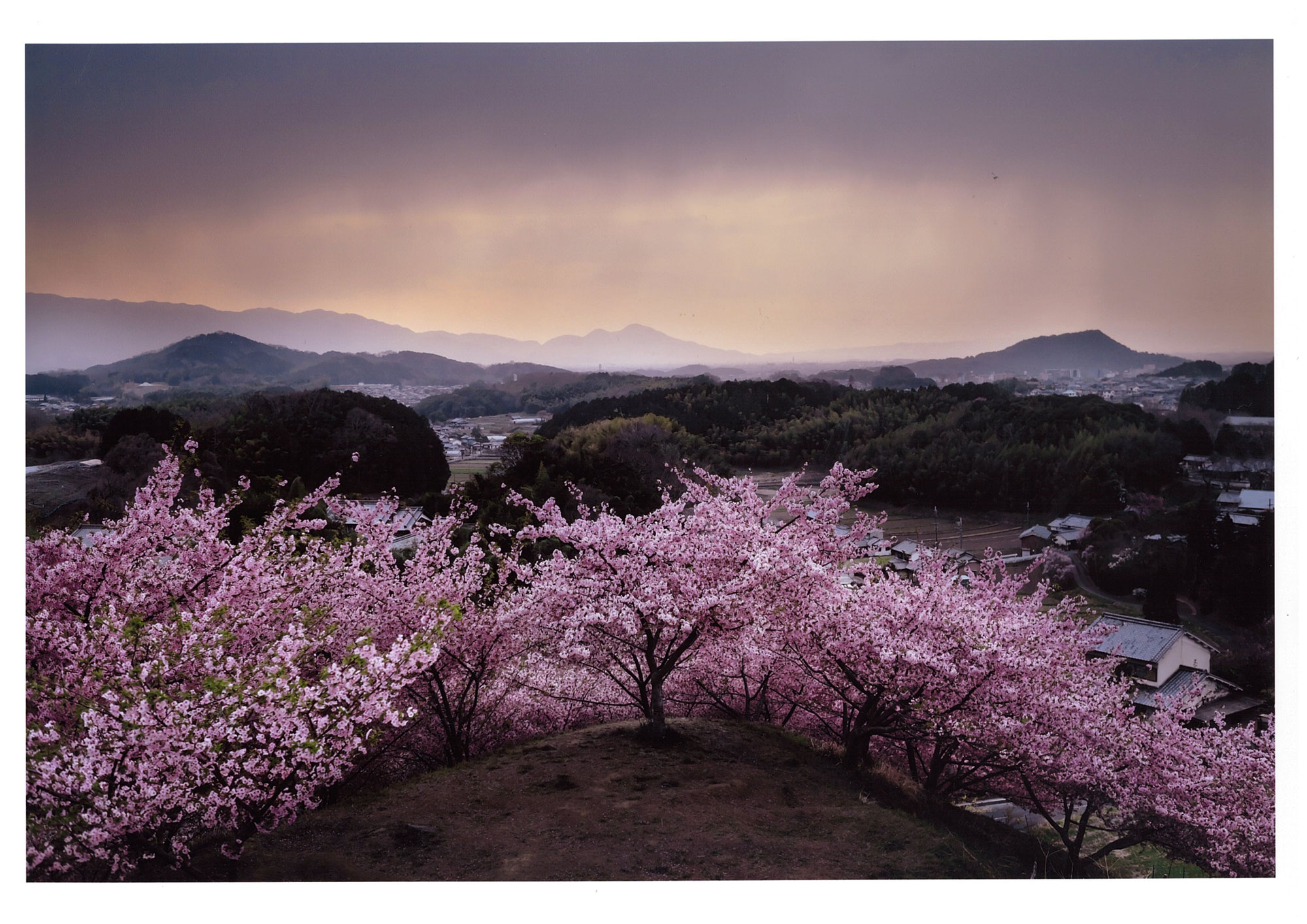 第49回「明日香路を写そう写真コンクール」入賞作品決定