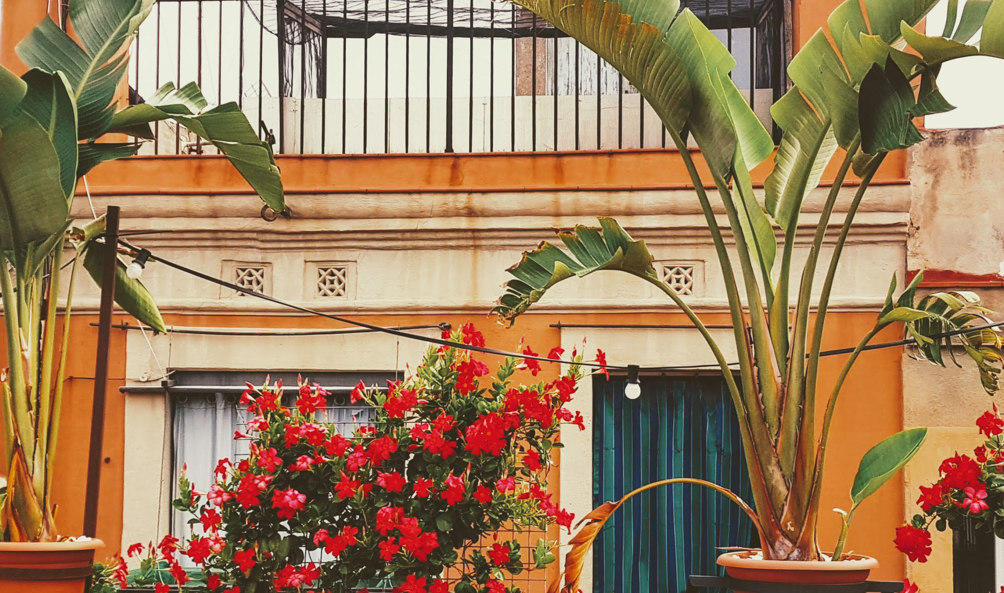 24 hour Escape from Reality to  Barcelona