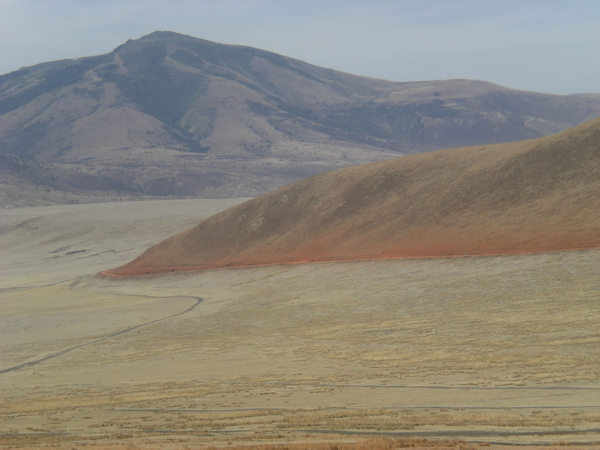 Nur nicht vor dem Tod sterben! stirbnichtvordemtods Webseite!