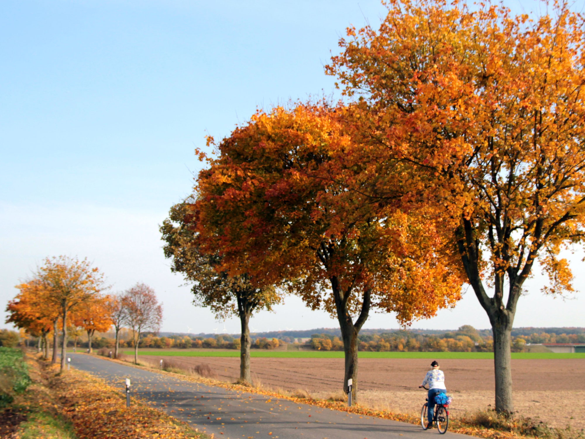 Zum „Indian Summer“ in die ADFC-RadReiseRegion Uelzen