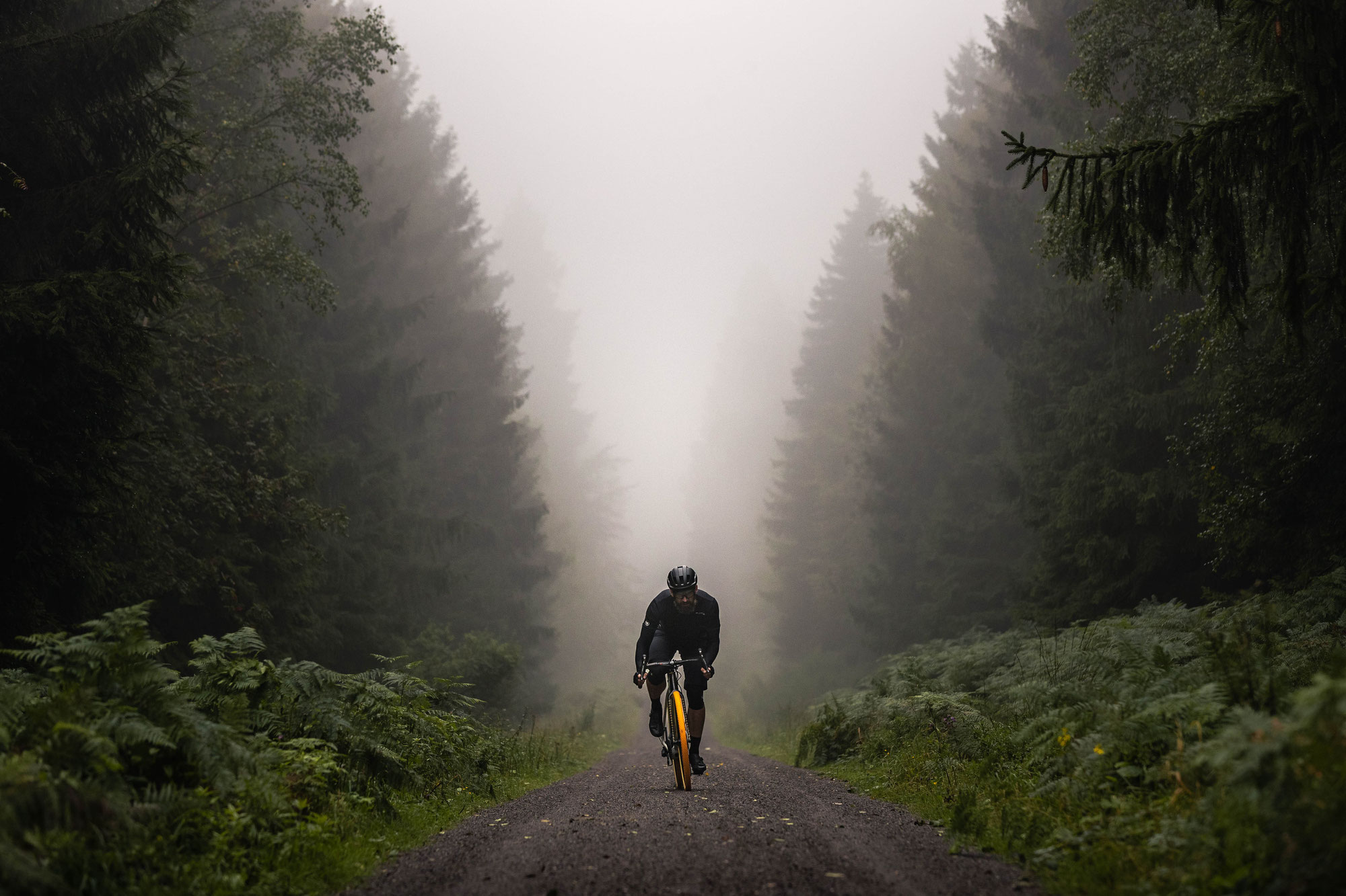 Continental feiert 150. Geburtstag mit Limited Edition eines Gravel-Bikes