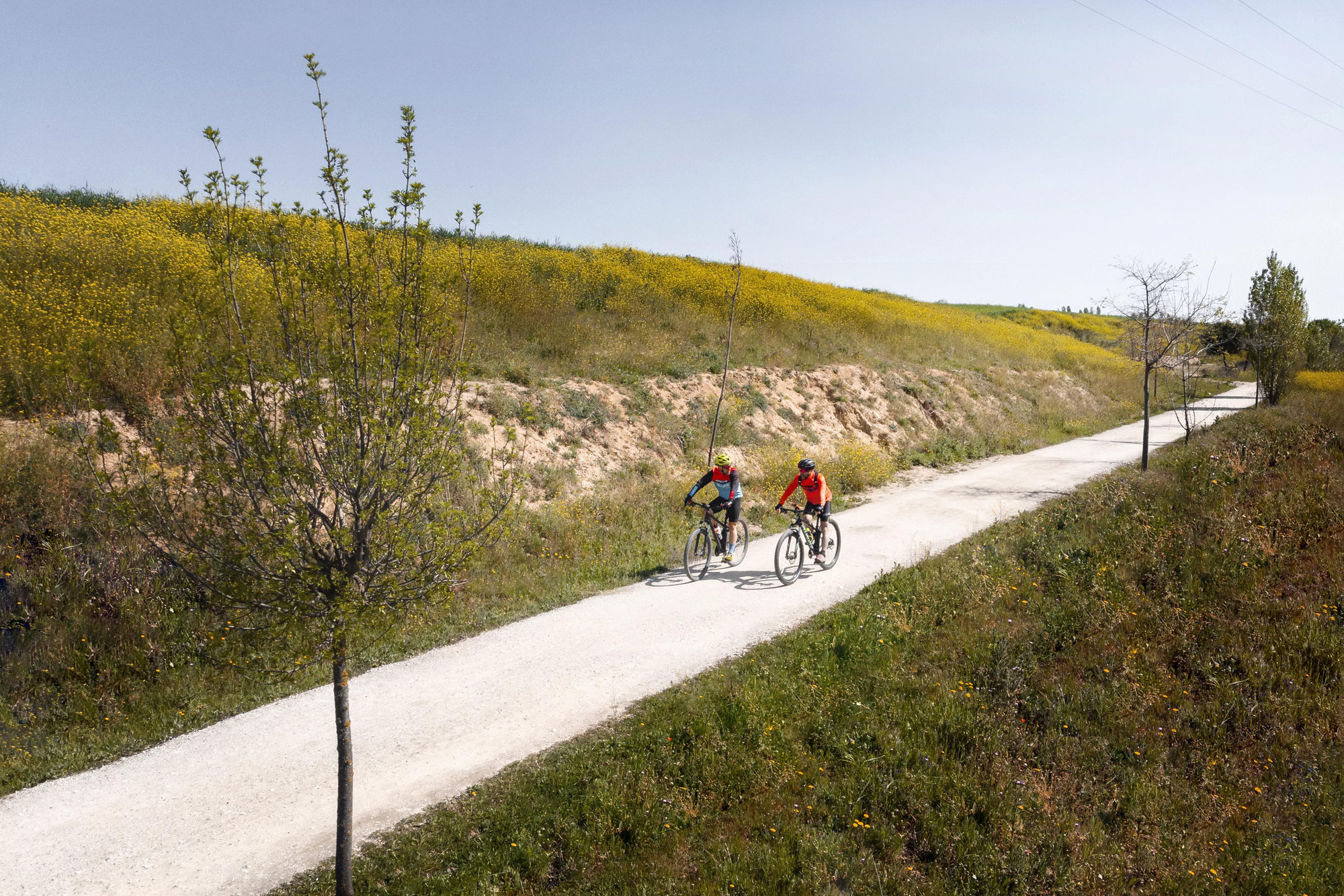 Noordwijk mit Fahrrad entdecken – 3 empfohlene Fahrradrouten