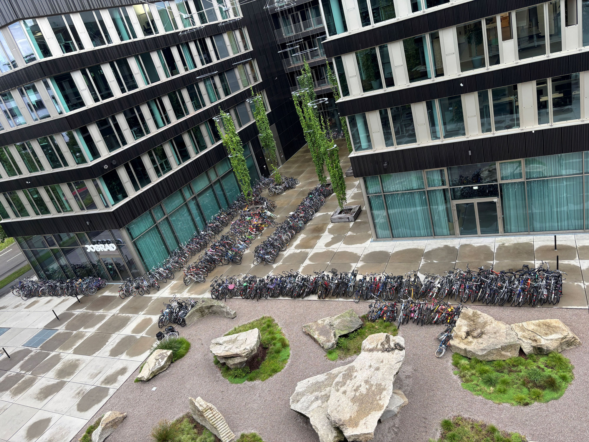 Freiburg zeigt Herz: Fast 500 Fahrräder für den guten Zweck gespendet