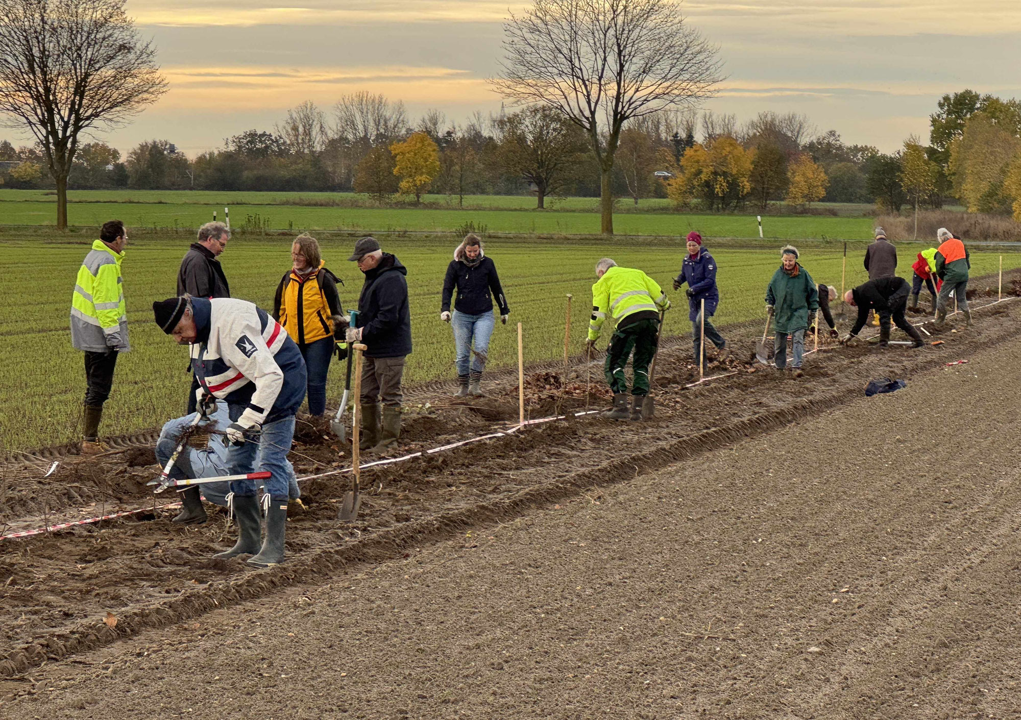 400 Meter Hecke und 1.000 Pflanzen