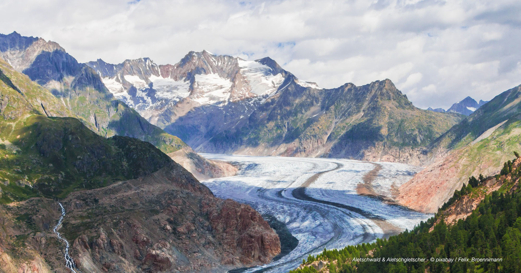 Aletschwald & Aletschgletscher - Panoramablicke von der Riederalp