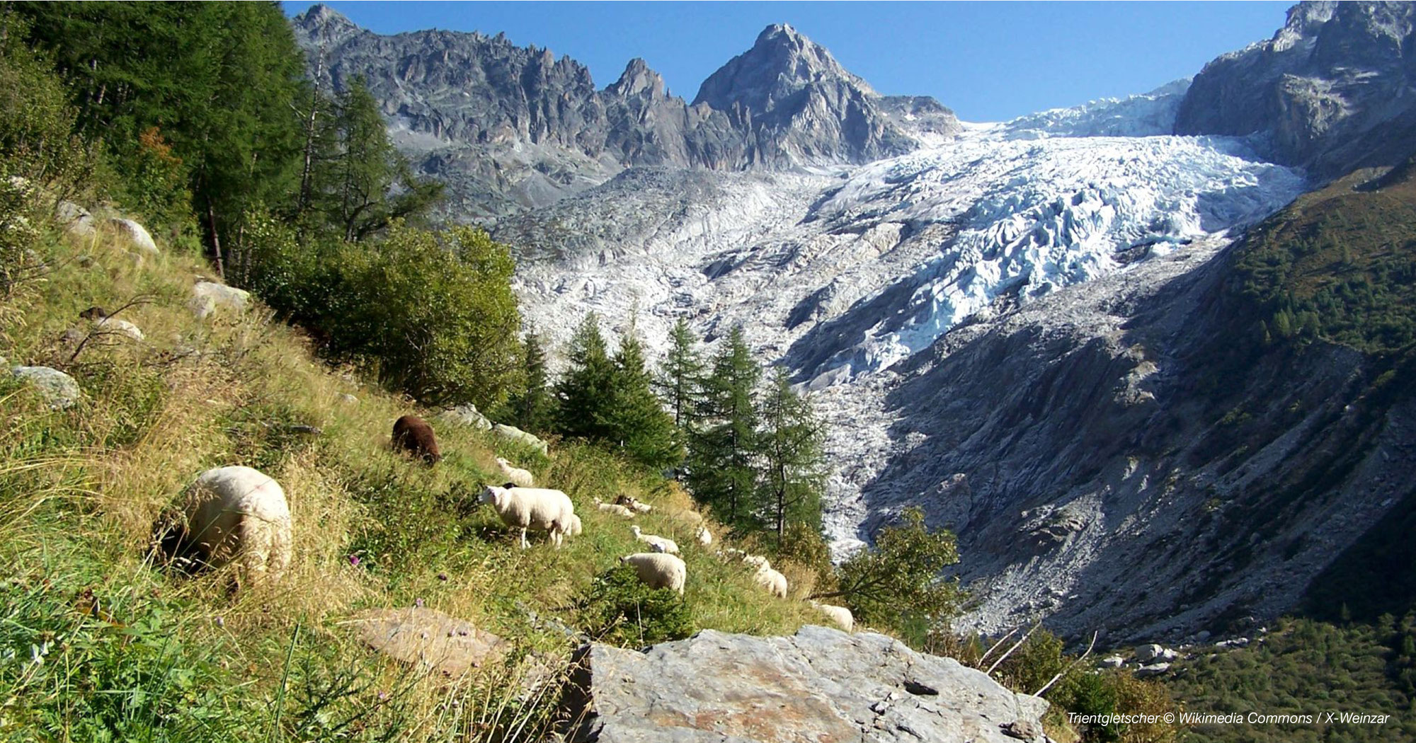 Die schönsten Gletscherpanoramen in der Schweiz