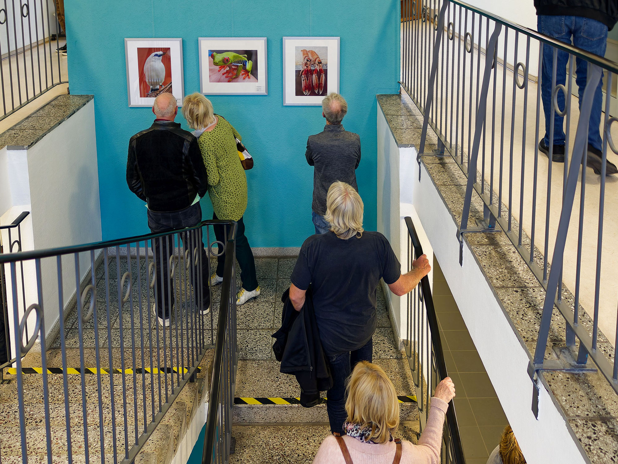 Tierisch, Tierisch - Vernissage