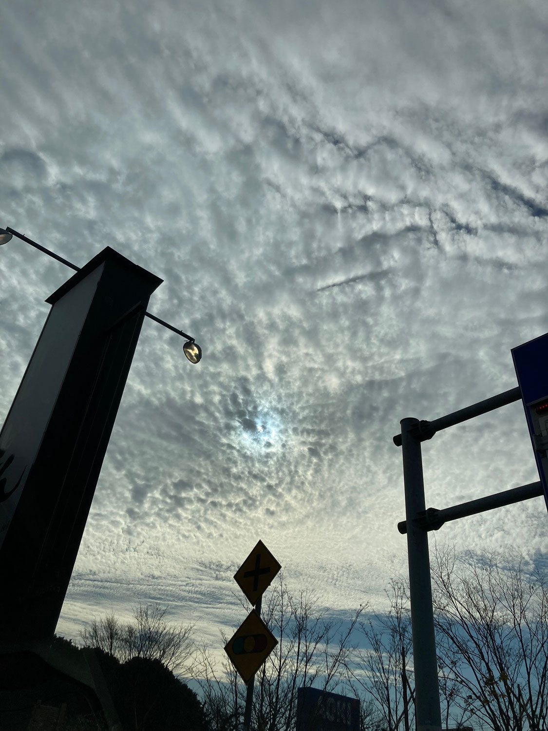 雲海のような雲 / Clouds like a sea of clouds