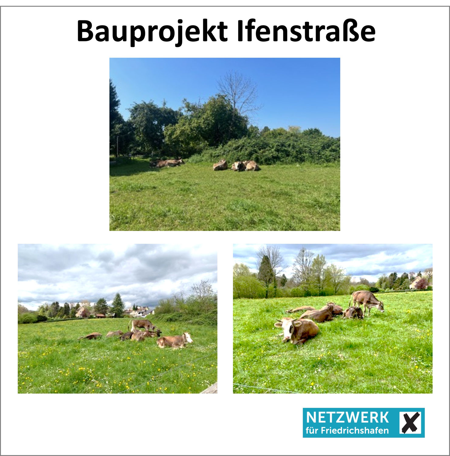 Vorhabenbezogener Bebauungsplan "Ifenstraße Süd"
