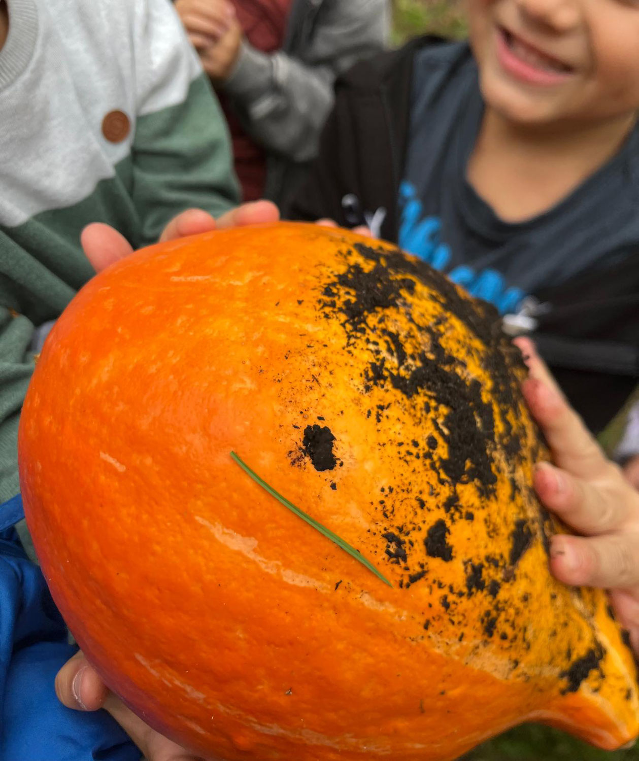 Vom Garten in den Topf: Kita-Kinder ernten ihren ersten Kürbis
