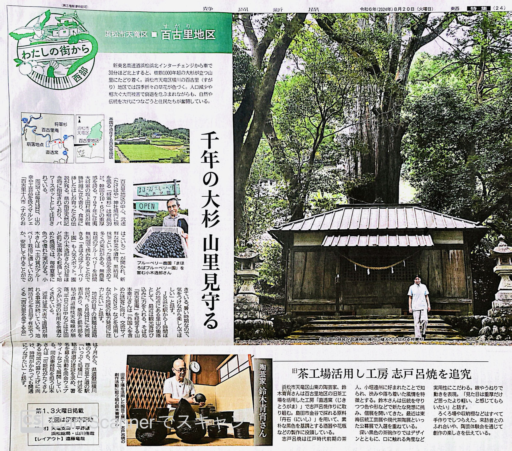 志戸呂焼 茶碗 直透 青宵 陶器 鈴木青宵 遠州七窯 勿体ない
