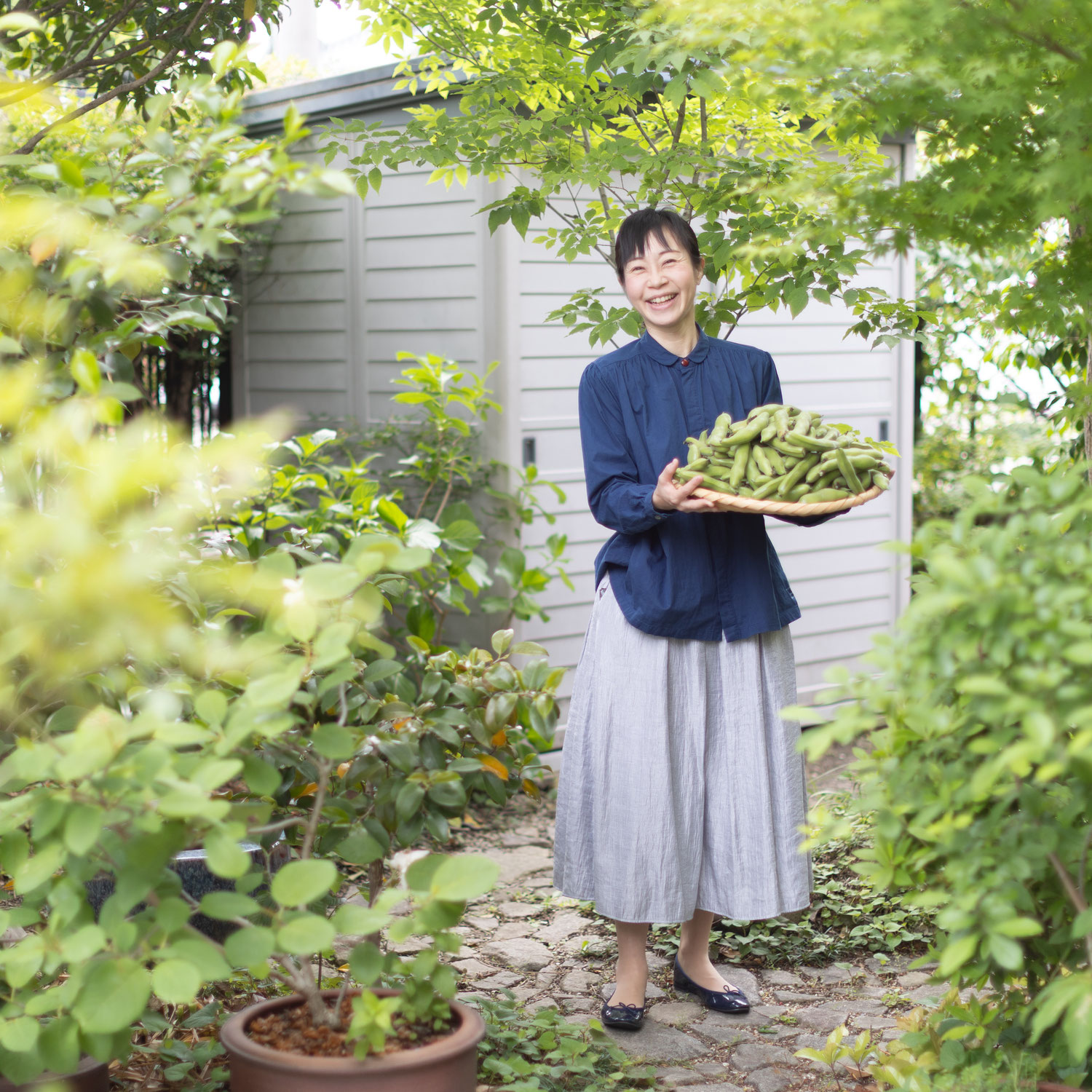 空豆の収穫から始まる物々交換 食糧危機も怖くない お金を使わない豊かな循環