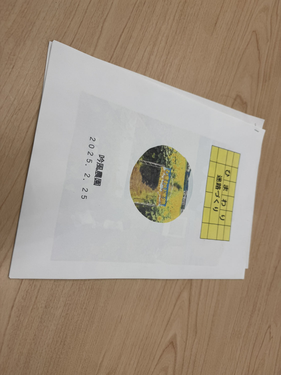面白そうな新企画