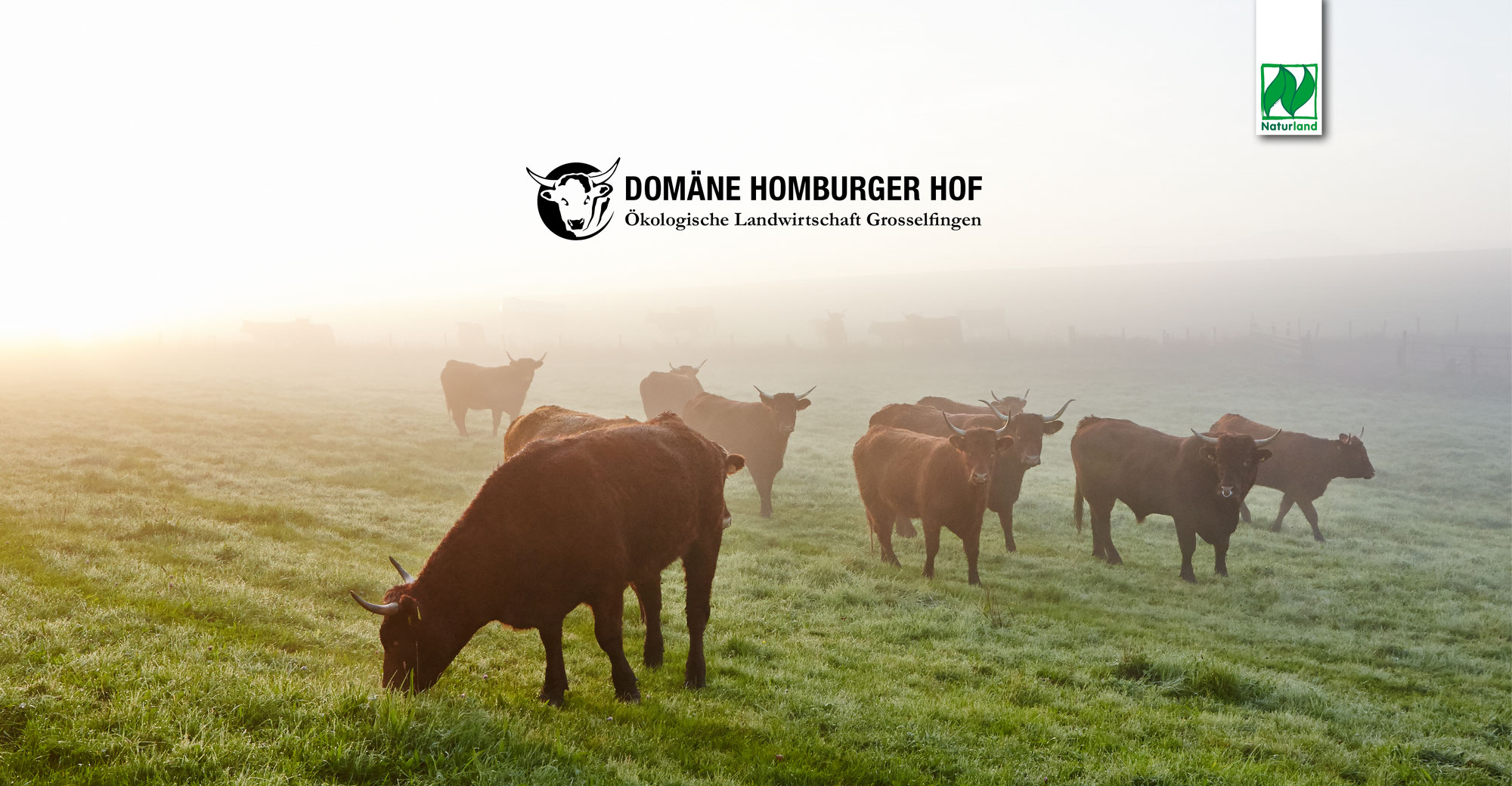 video die domane homburger hof in grosselfingen der bio bauernhof