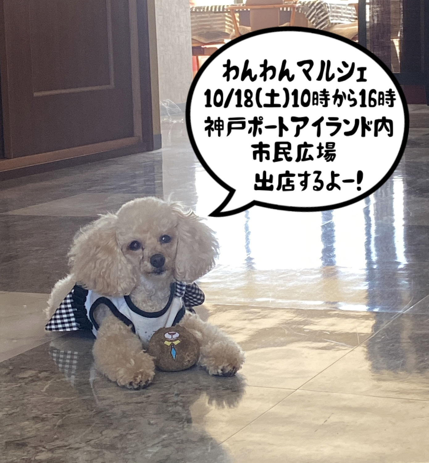 わんわんマルシェ　神戸ポートアイランド内市民広場　出店のお知らせ