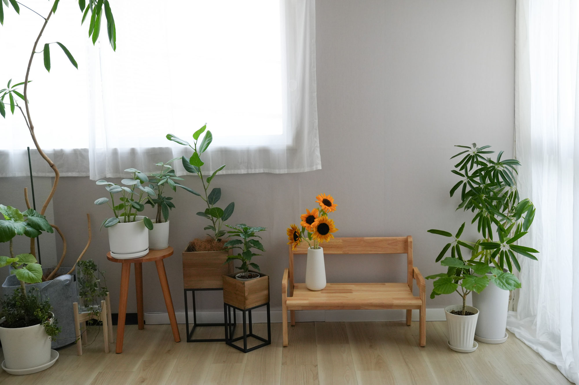 「写真と言葉の編集スタジオ」ってどんな感じ？こんな感じ